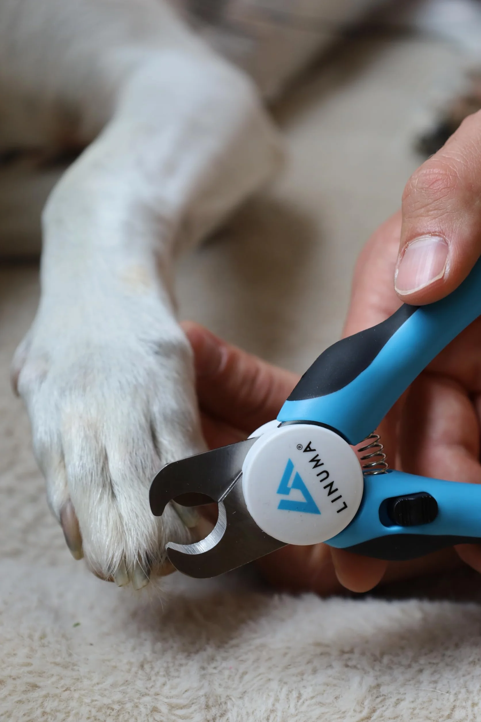 Coupe-Griffes Professionnel Acier Inoxydable pour Chiens Chats avec Butée de Sécurité et Lime Intégrée