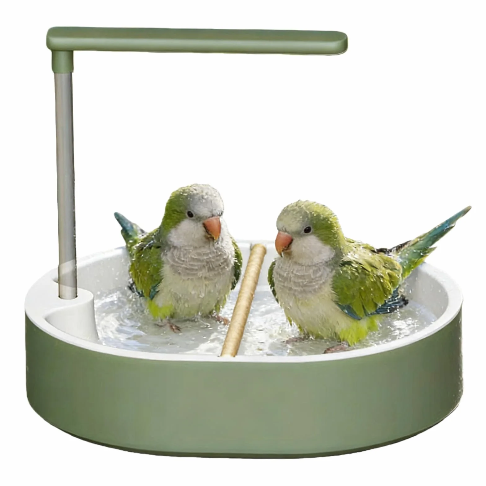 Baignoire Oiseaux Fontaine Douche Automatique pour Perruches, Perroquet, Conures, Cacatoès (Vert)