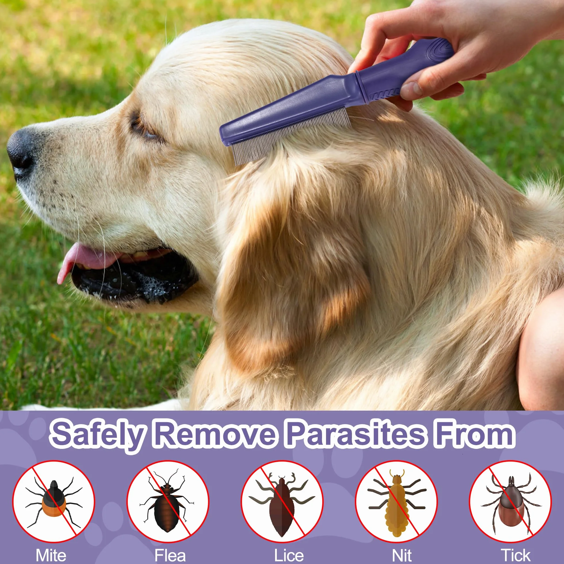 Peigne anti-puces pour Chien et Chat Dents Fines Peignes de Toilettage Nettoyage