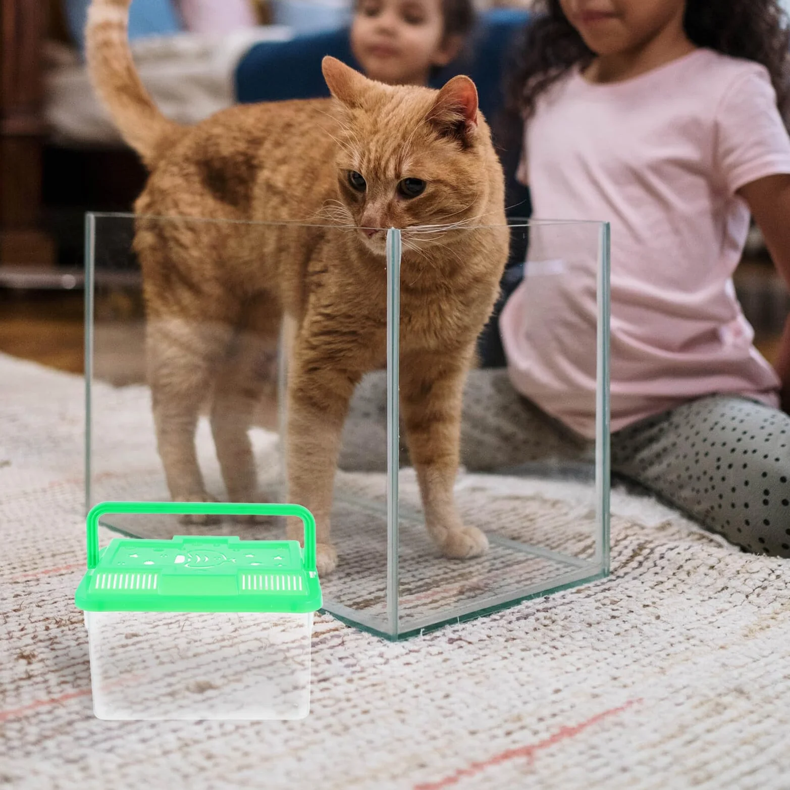 Transporteur Portable pour Tortues et Poissons avec Poignée, Aquarium en ABS Transparent