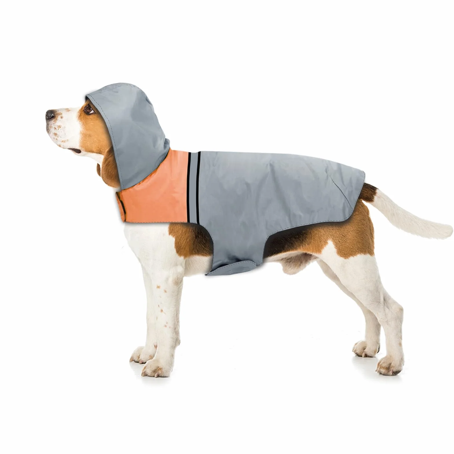 Imperméable pour chien avec capuche bandes réfléchissantes ultra-léger respirant petite moyenne grande taille
