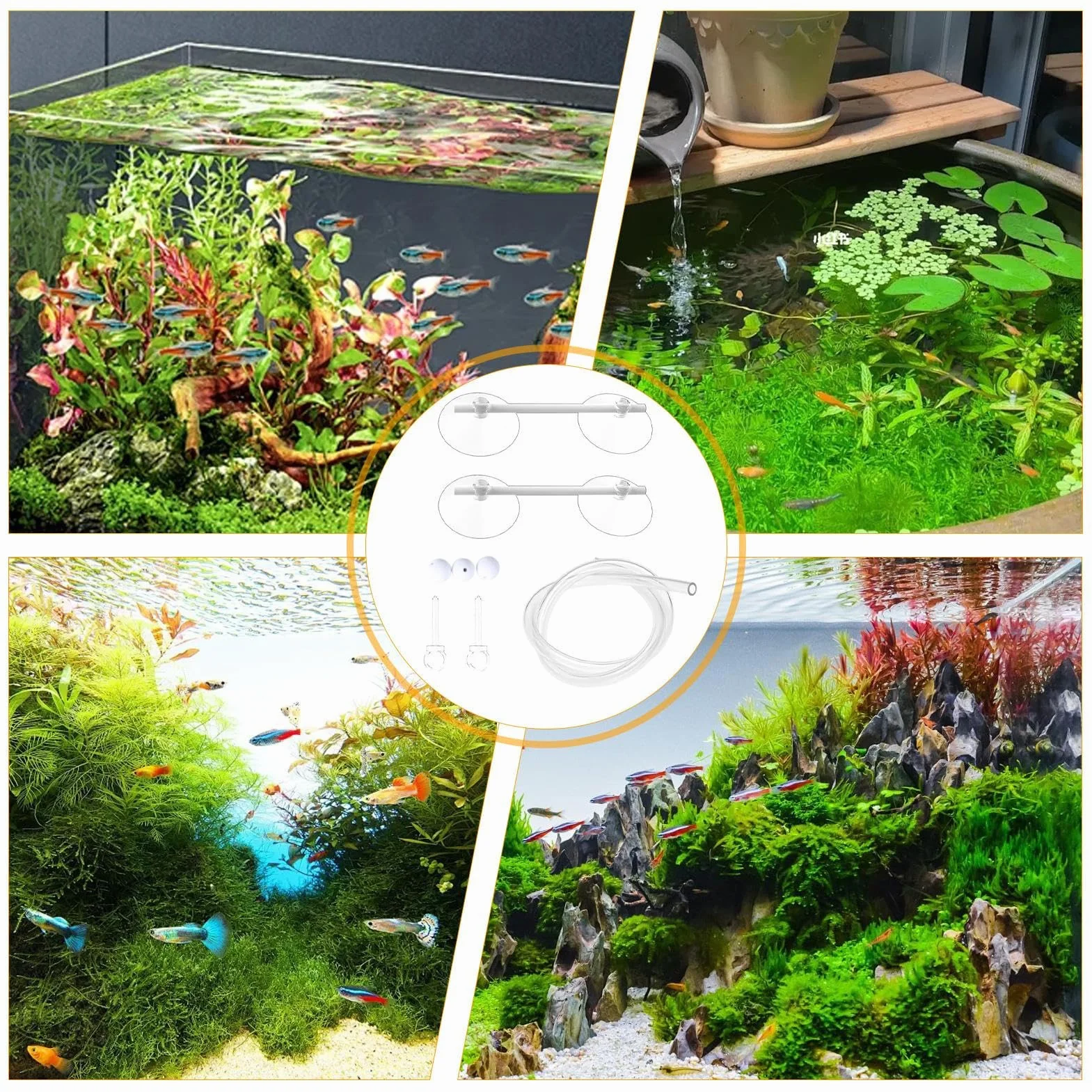 Generisch Anneau d'alimentation pour aquarium, clôture de plantes flottante, accessoires pour séparer les plantes
