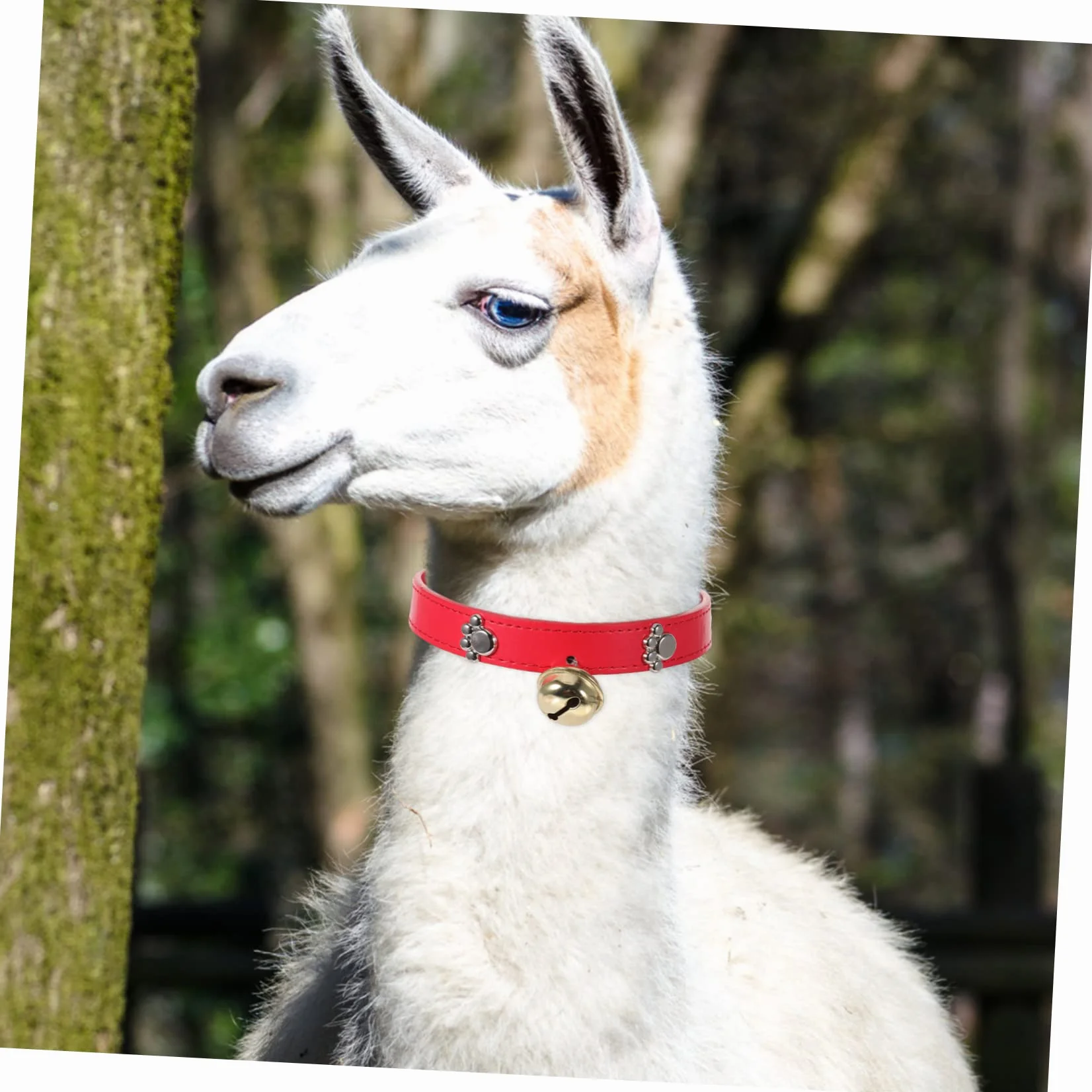 4pièces Collier Réglable pour Animaux avec Cloche Lot de Colliers Colorés pour Moutons Chèvres Et Veaux Accessoires De Bétail Adorables Et Pratiques