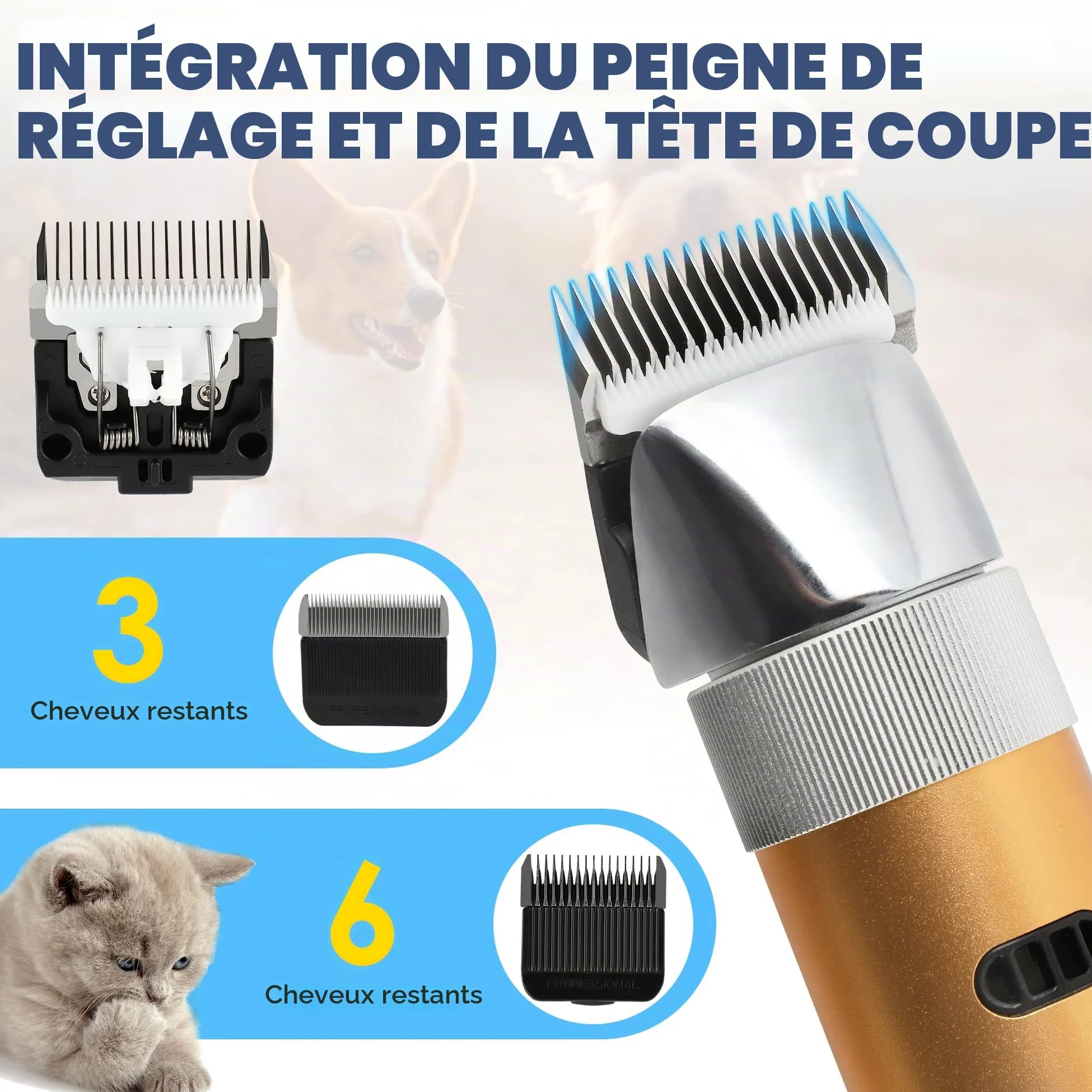 CGOLDENWALL 400W Tondeuse Chien Tondeuse à Moutons Électrique Rechargeable Tête de Coupe Peigne Limite Intégrés Amovible 5H en Veille Faible Bruit (3MM+6MM) | Professionnelle, <50dB, 5h Veille, Rechargeable, Anti-Poils Longs, Tous Poils