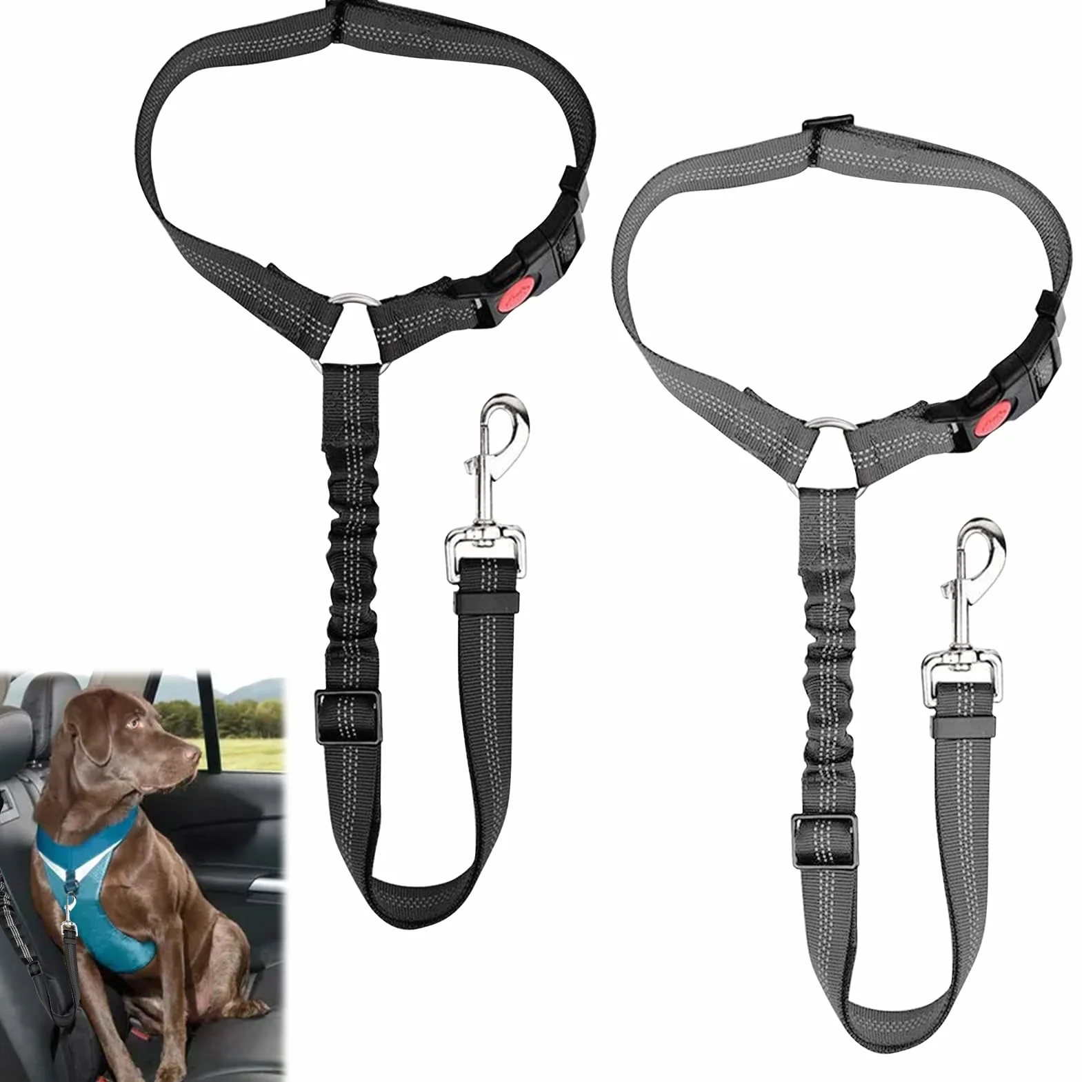 Ceinture Securite Chien Voiture Universelle avec Absorption des Chocs Reglable 28-33 Pouces Noir Gris