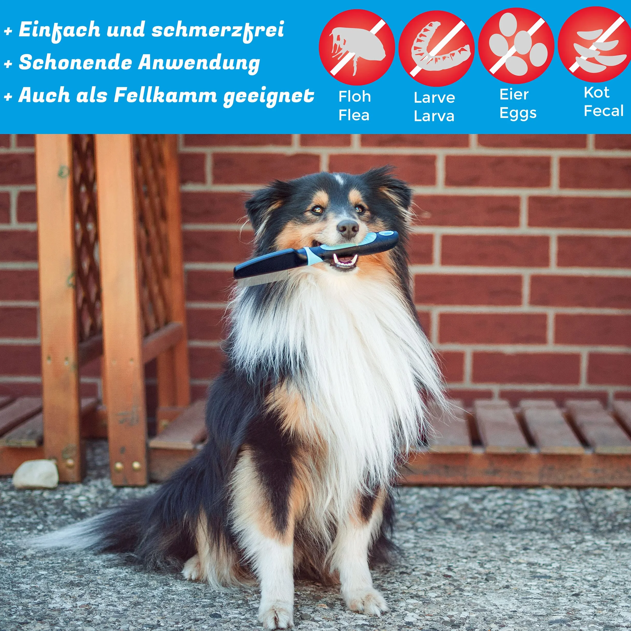 BluePet Peigne démêlant Anti-puces pour Chiens et Chats - Peigne Anti-poux - Élimine Parasites