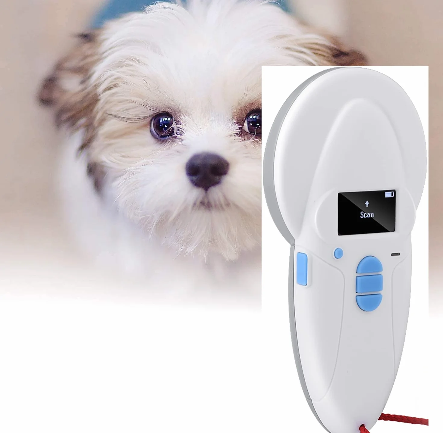 Lecteur d'identification pour animaux de compagnie, lecteur de puces RFID pour animaux - FDX-A/FDX-B (SO11784/85)/HDX/I/EM4102 Microchip Scanner, 128x64 OLED Label Display, 1400mA USB Rechargeable