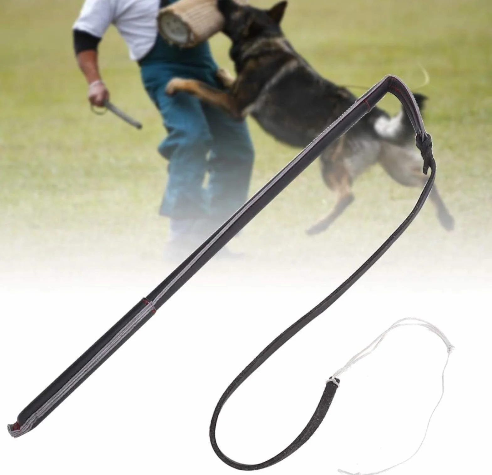 Cravache pour Chien en Cuir de Vachette avec Poignée Dressage Berger Allemand