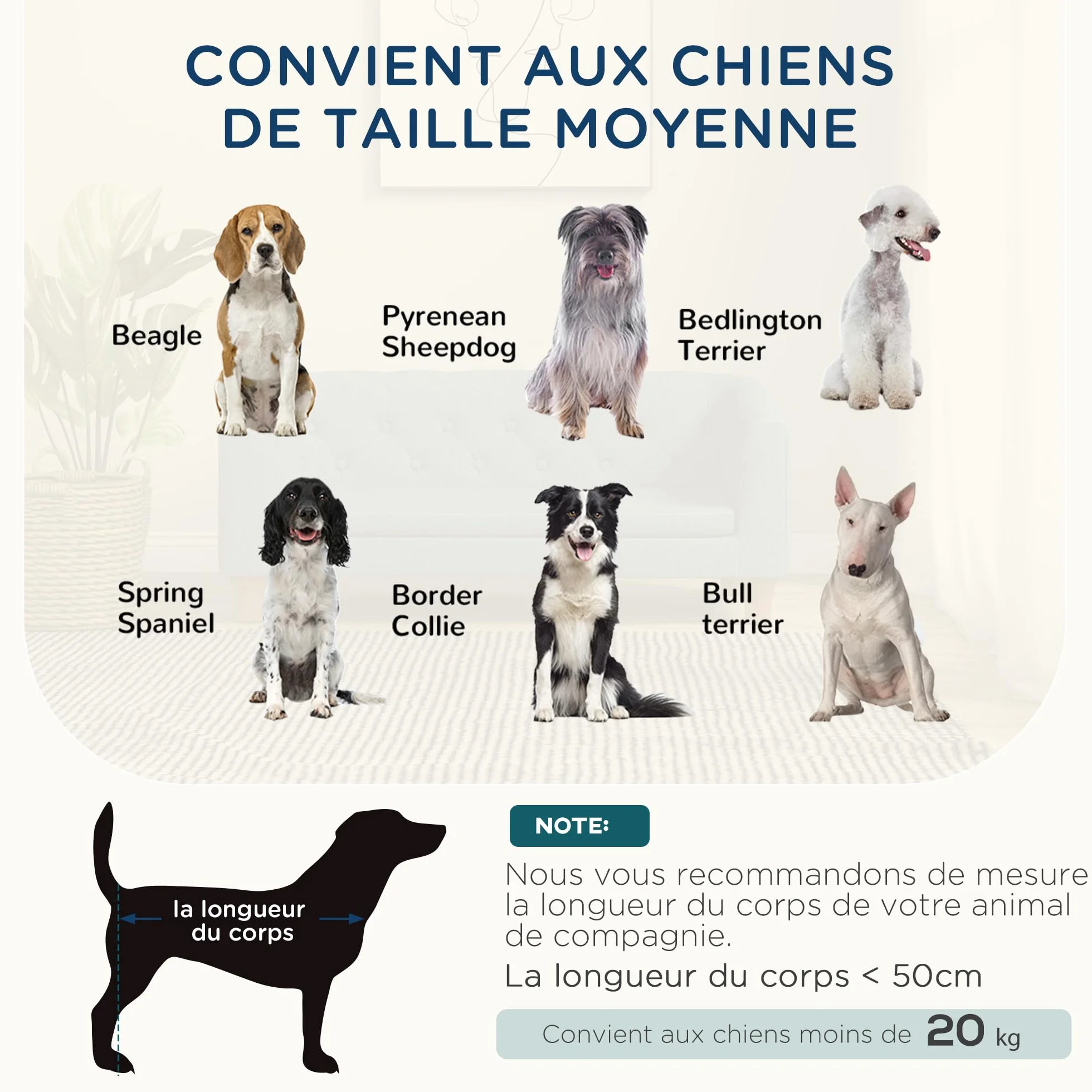 PawHut Canapé pour Chien et Chat surélevé, Coussin Doux Amovible, 96 x 60 x 42 cm, Gris