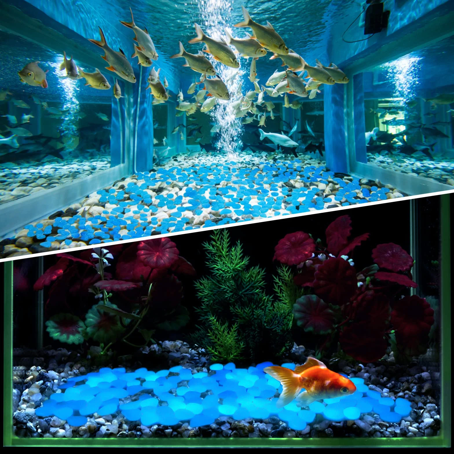 300 Pièces Pierre Lumineuse, Pierres Décoratives de Pot de Fleur, Cailloux Aquarium, Gravier Aquarium, Jardin Decoration Extérieur