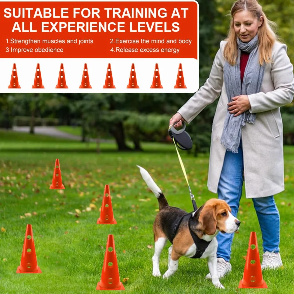 Kit Agility pour Chien Sports Haies Set 8 Cônes 4 Barres 23 cm Hauteur 80 cm Longueur Orange
