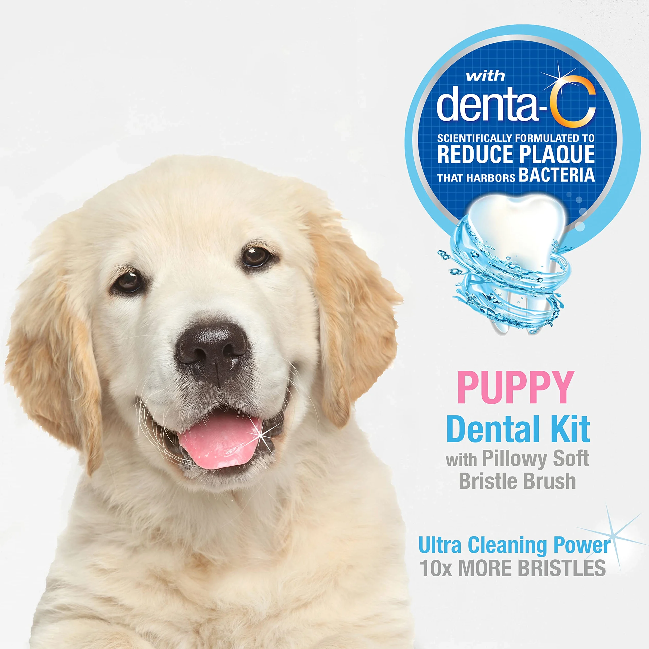 Nylabone Advanced Oral Care Kit Dentaire pour Chiot avec Brosse à Dents à Poils Doux et Doux Beurre d'arachide (3 pièces)