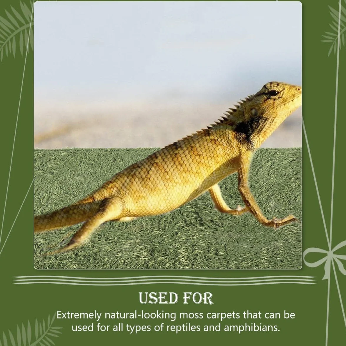 Tapis Gazon Artificiel Décoratif en Coton Respirant et et Super Confortable pour Reptiles et Tortues pour Terrarium Habitat Humide