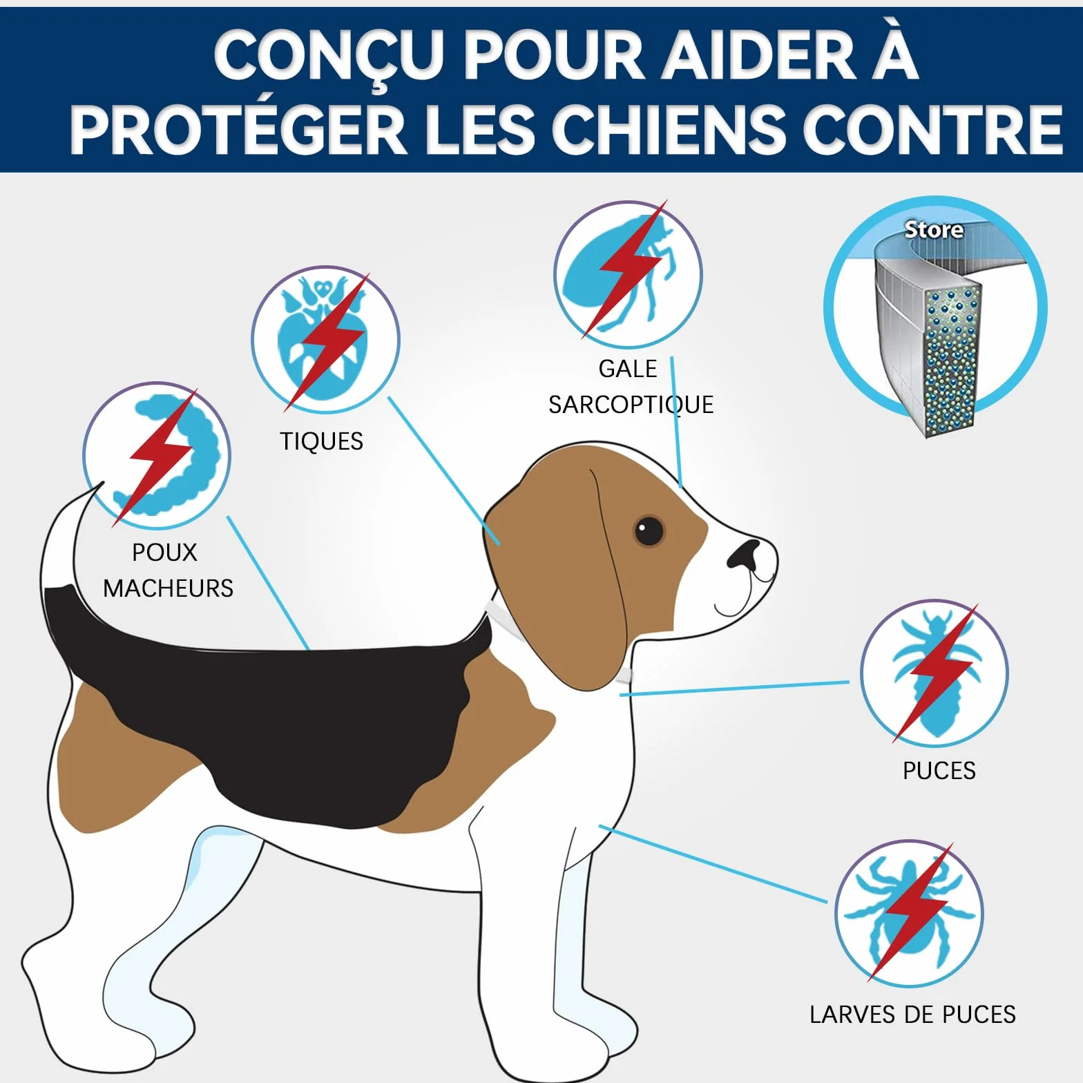 Collier Anti Puces pour Chien Réglable 63.5CM 2PACK, Résistant à l'eau, Huiles Essentielles 100% Naturelles