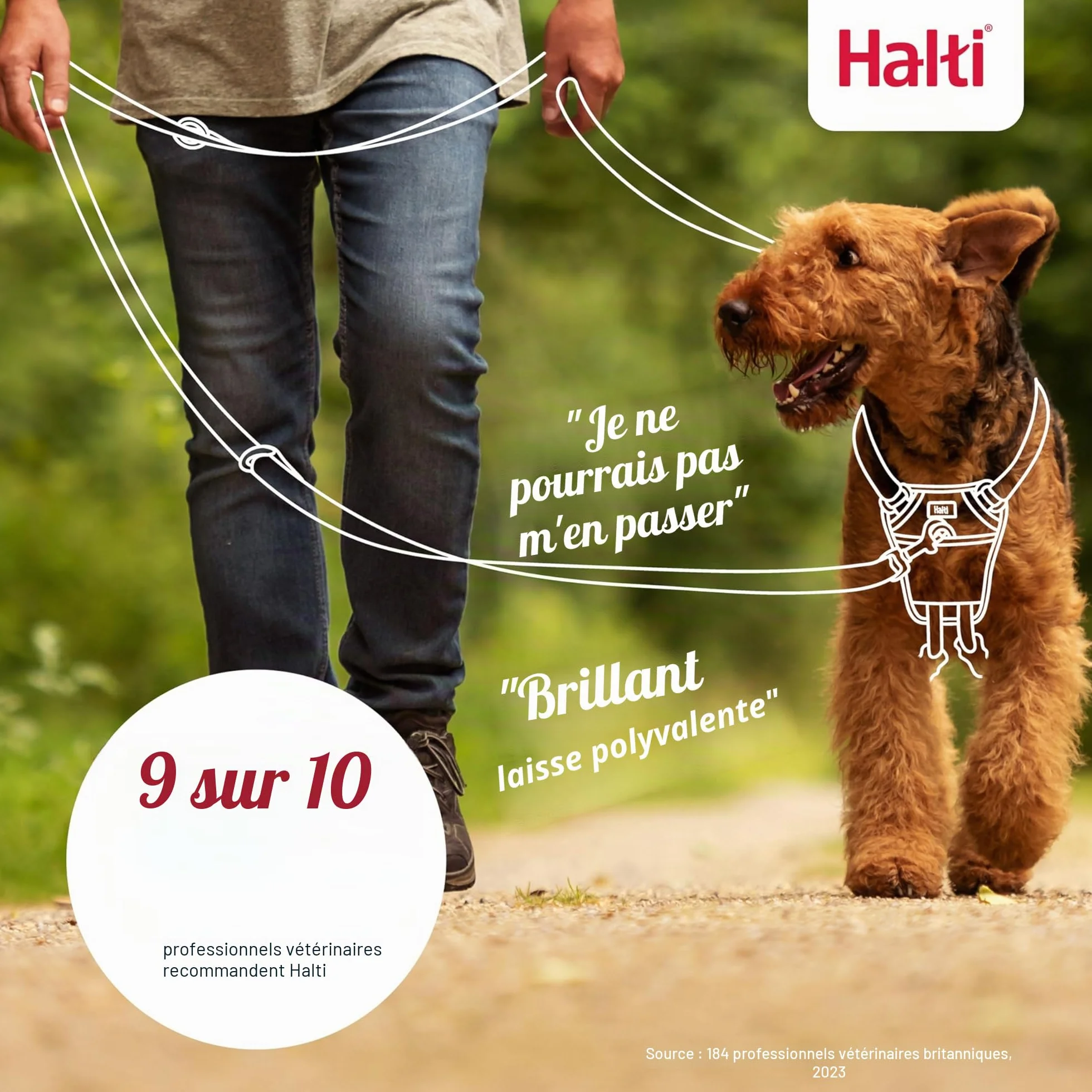 Laisse éducative HALTI - 7 Fonctions Conçues pour Vous Aider a Éduquer et Promener Votre Chien, Laisse de Dressage de Chien à Double Extrémité pour Chiens et Chiots (Taille L, Sable du Désert, 2m)