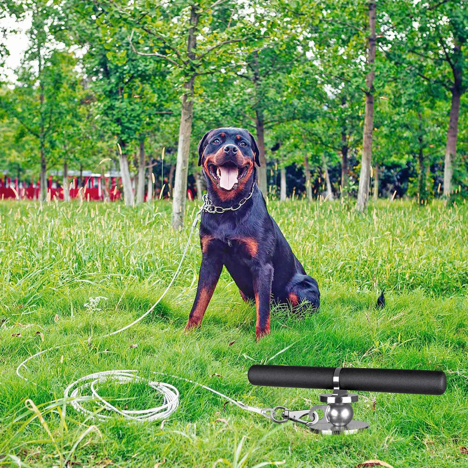Piquet d'attache pour chien 38,1 cm, spirale robuste, ancre jusqu'à 100 kg, pour cour, camping et plage