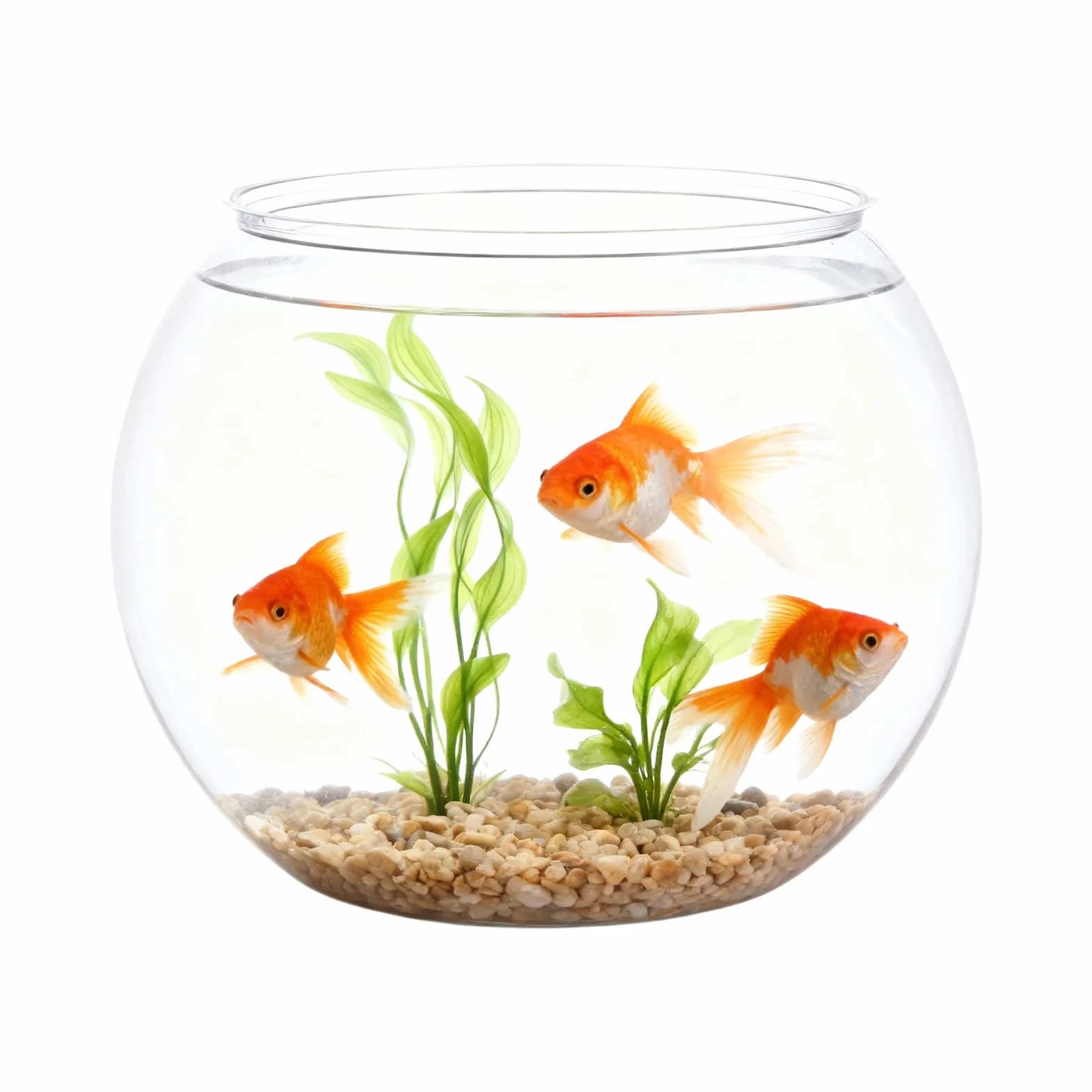 Bocal à Poissons Rond Transparent, Aquarium en Plastique Incassable, Mini Vase pour Poissons Rouges