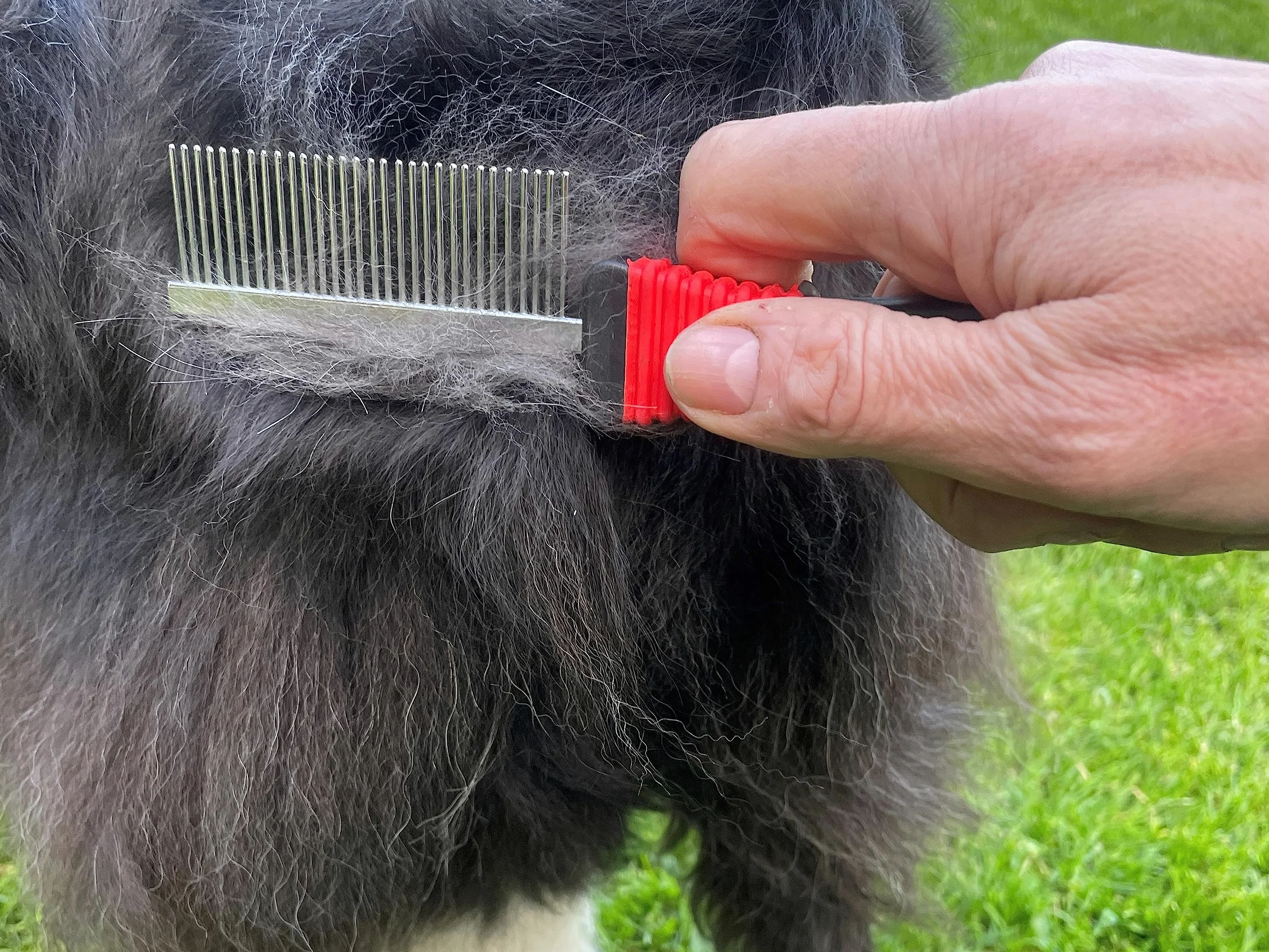 Masterclip Essentials Ensemble de toilettage pour chiens et chats – Contient 8 accessoires de toilettage quotidiens ; peigne démêlant, coupe-ongles, lime à griffes, brosses et peigne double face, gant