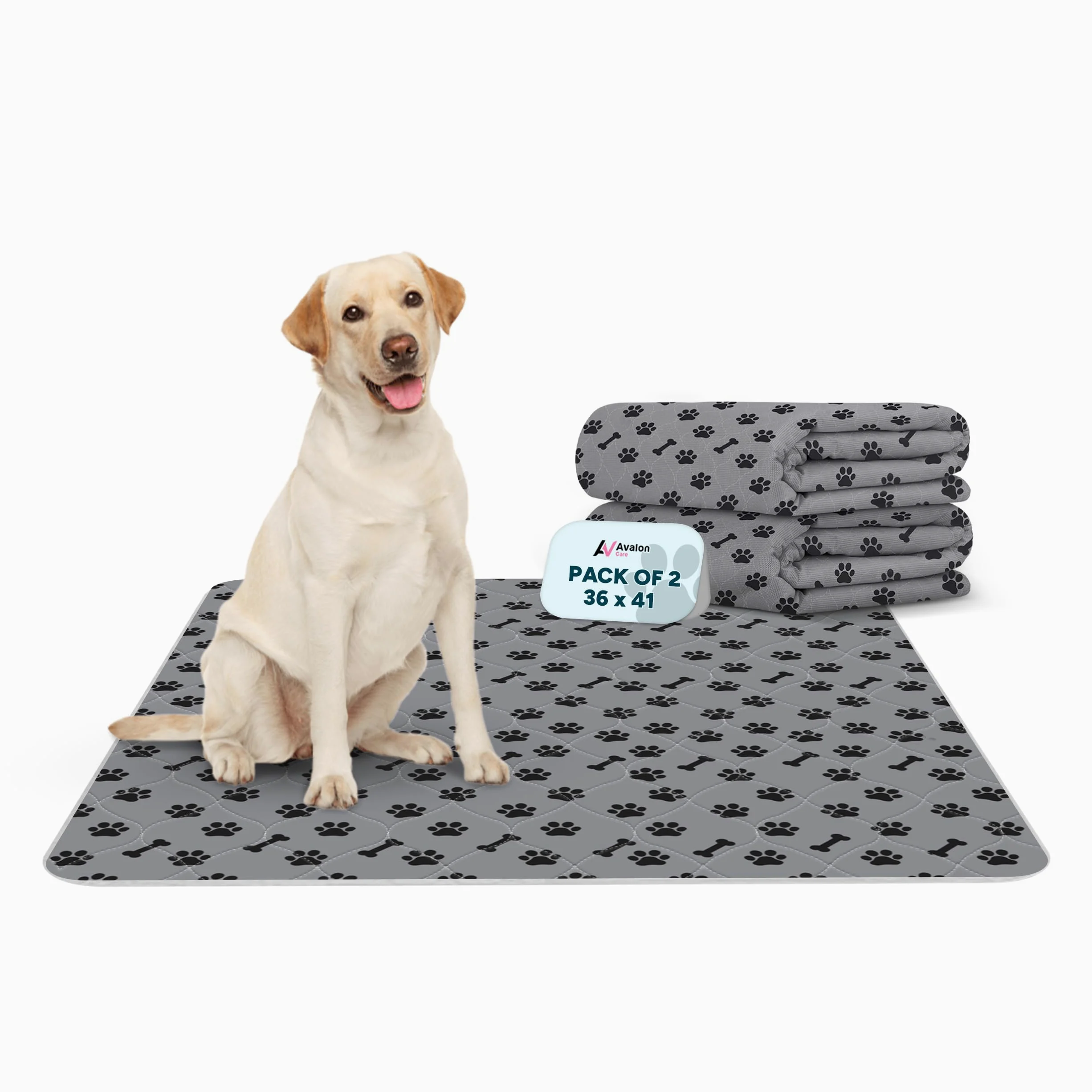 Lot de 2 tapis pour animaux de compagnie 36 x 41