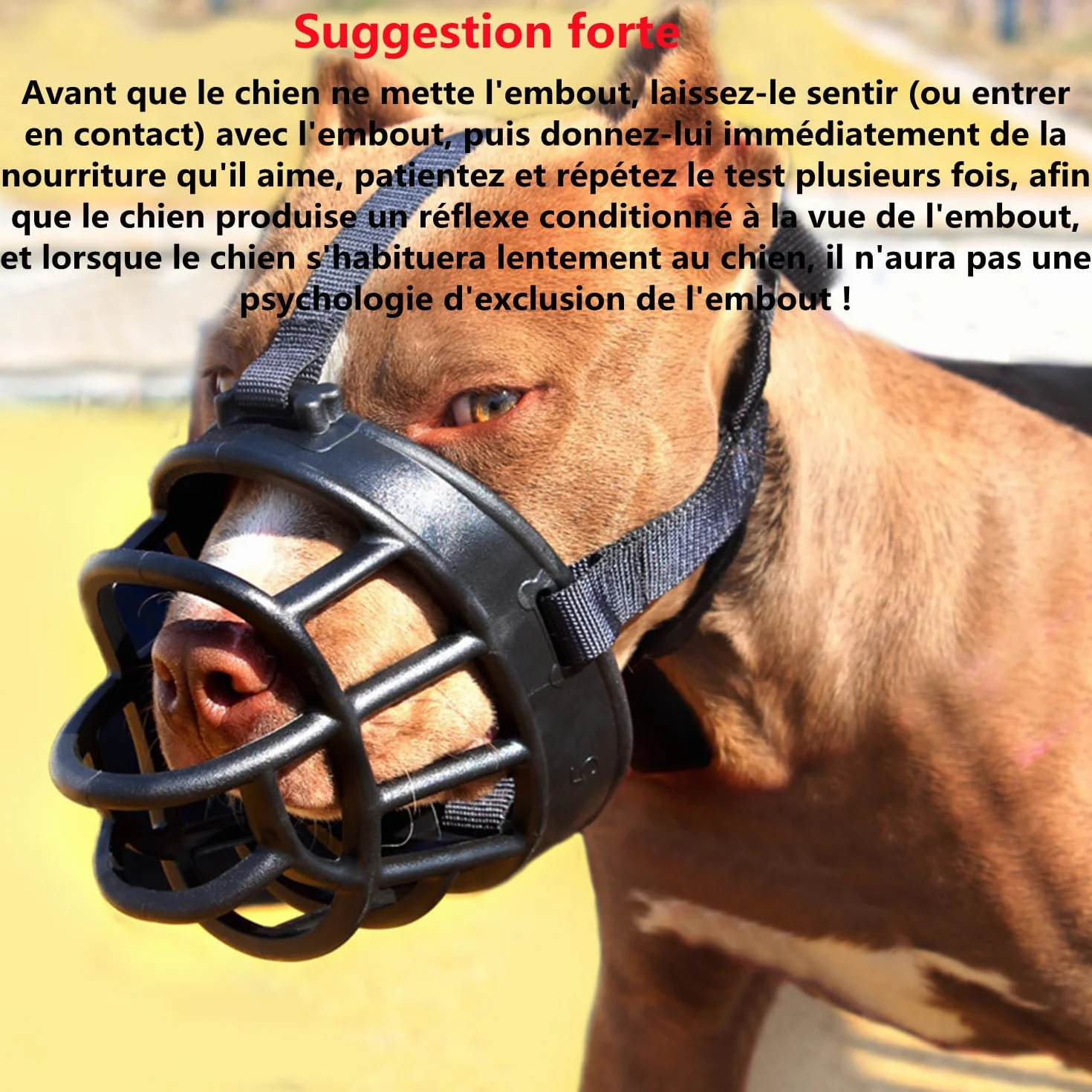 LATRAT Muselière pour Chien, Empêche Les Morsures, Museau d'Entraînement Respirant pour Petits,Moyens Et Grands Chiens, Taille 3