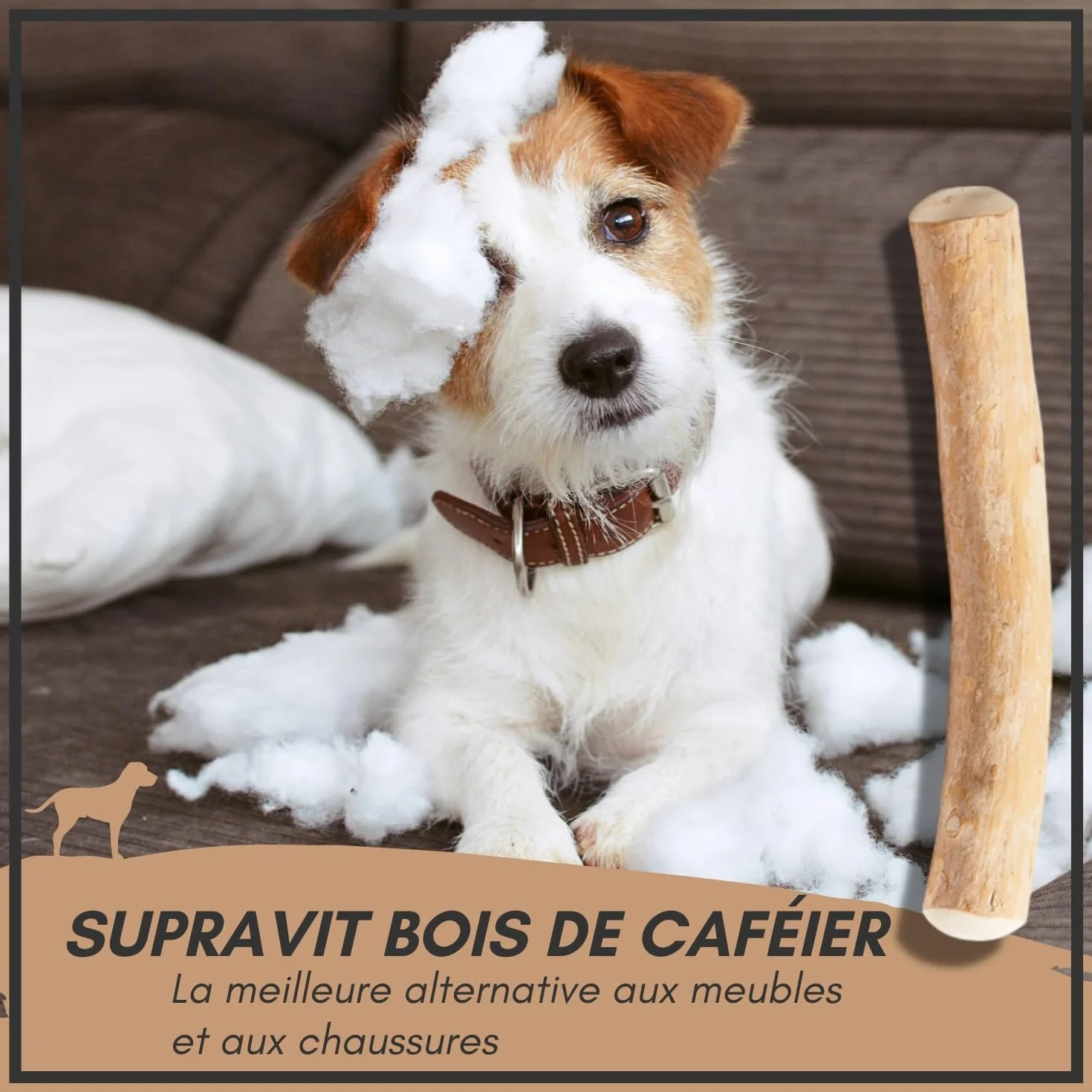 Supravit Os à Naturel en Bois de café pour Chiots XS Jouet à mâcher Durable