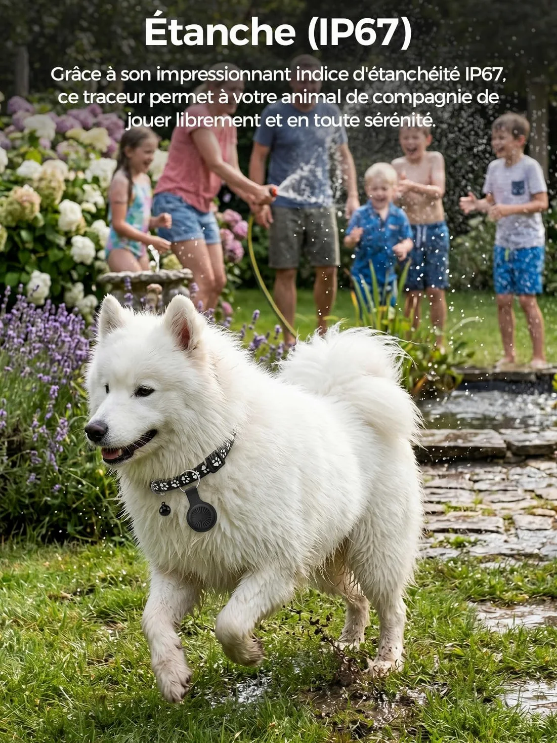 Traceur GPS Chat, Collier GPS Chat GPS Chien Compatible iOS et Android, Aucun Frais Mensuel, Suivi Mondial en Temps Réel, Étanchéité IP67, Historique des Trajets sur 7 Jours, Convient aux Chats Chiens