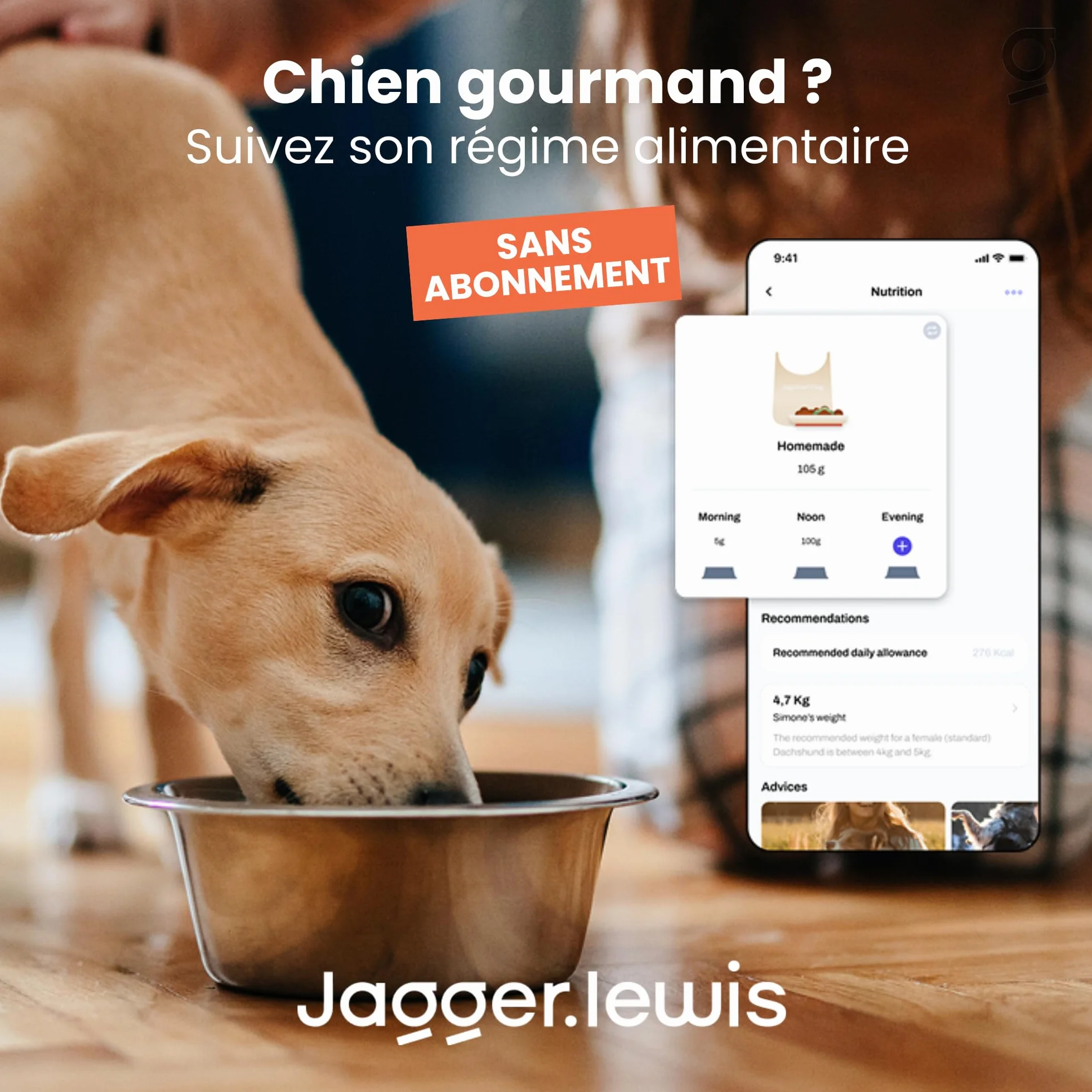 Jagger Lewis GPS Collier Chien sans Abonnement Localisation Direct Anti-Fugue Suivi Activité Bien-Être iOS Android Charbon Smartdock