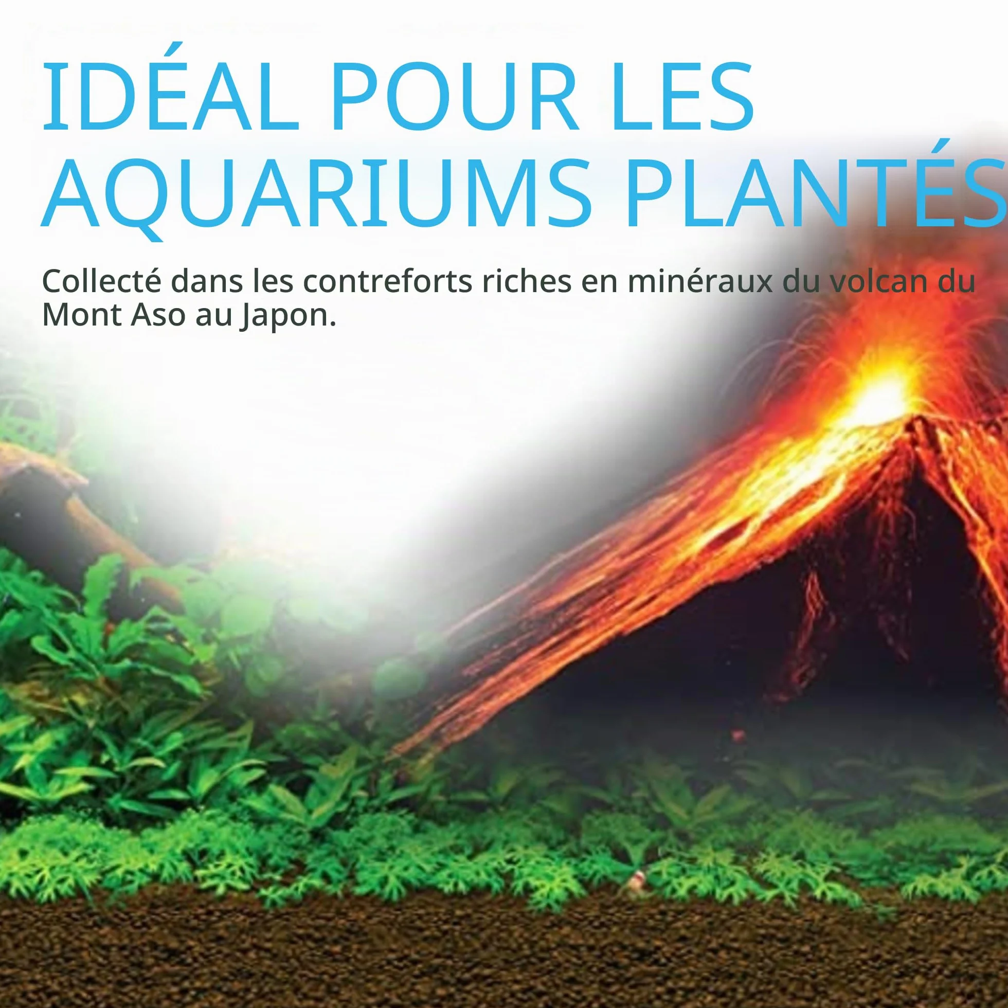 Fluval Bio Stratum Substrat volcanique pour Aquarium planté, 2 kg