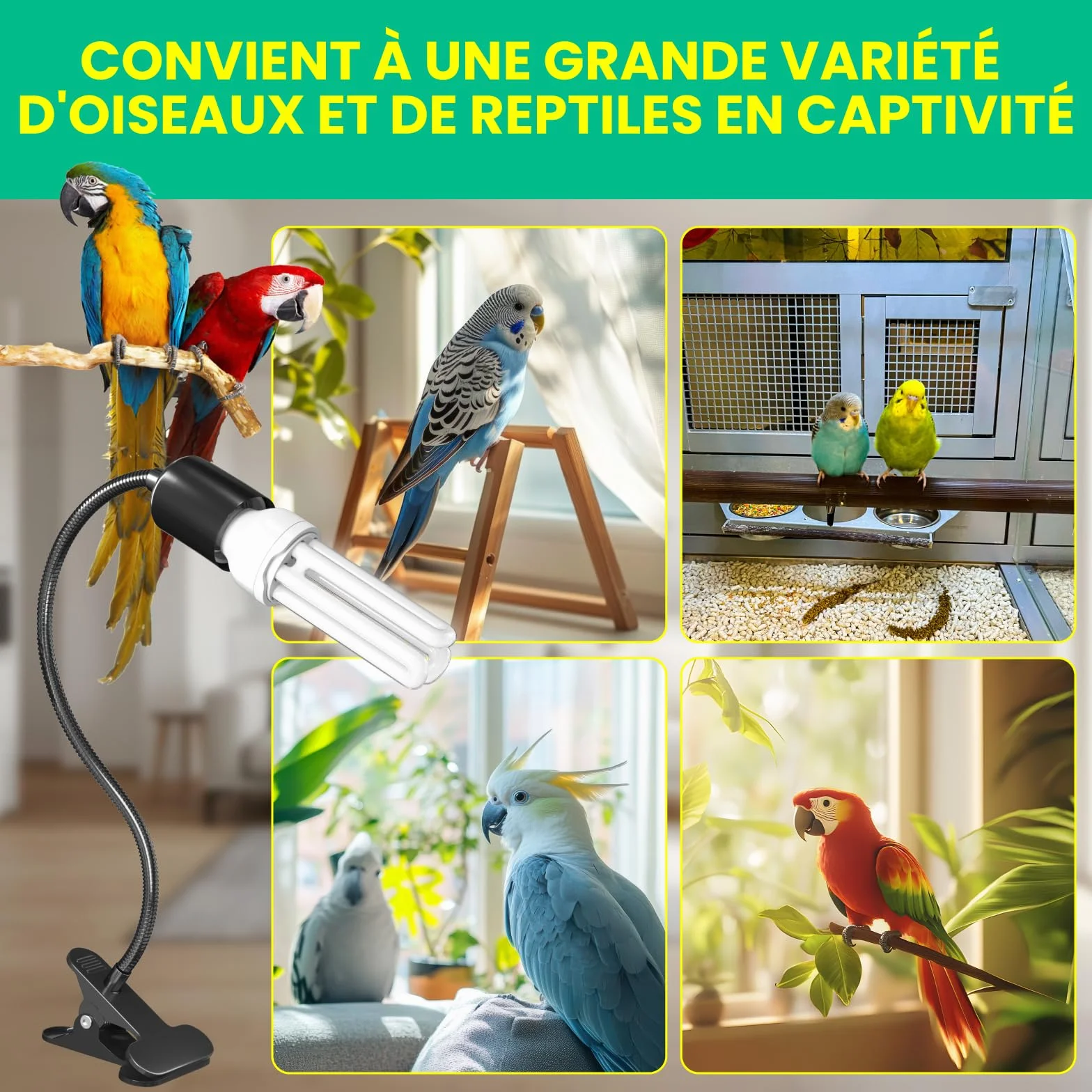 GlowUp UVB 2.4 Kit Complet d'éclairage pour Oiseaux, Lampe à Pince E27 20W
