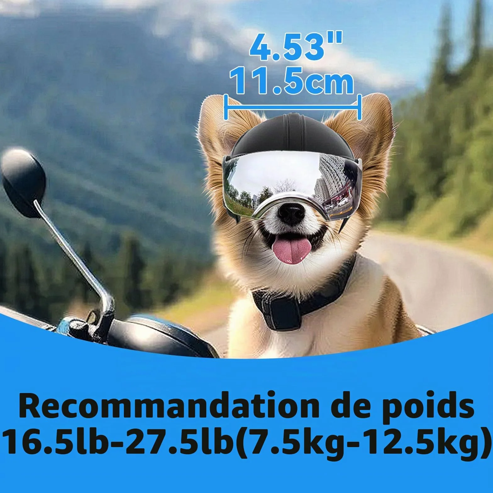 Casque et Lunette Moto Chien Protection UV Anti-Sable pour Chiens 7,5-12,5 kg Verres Argentés