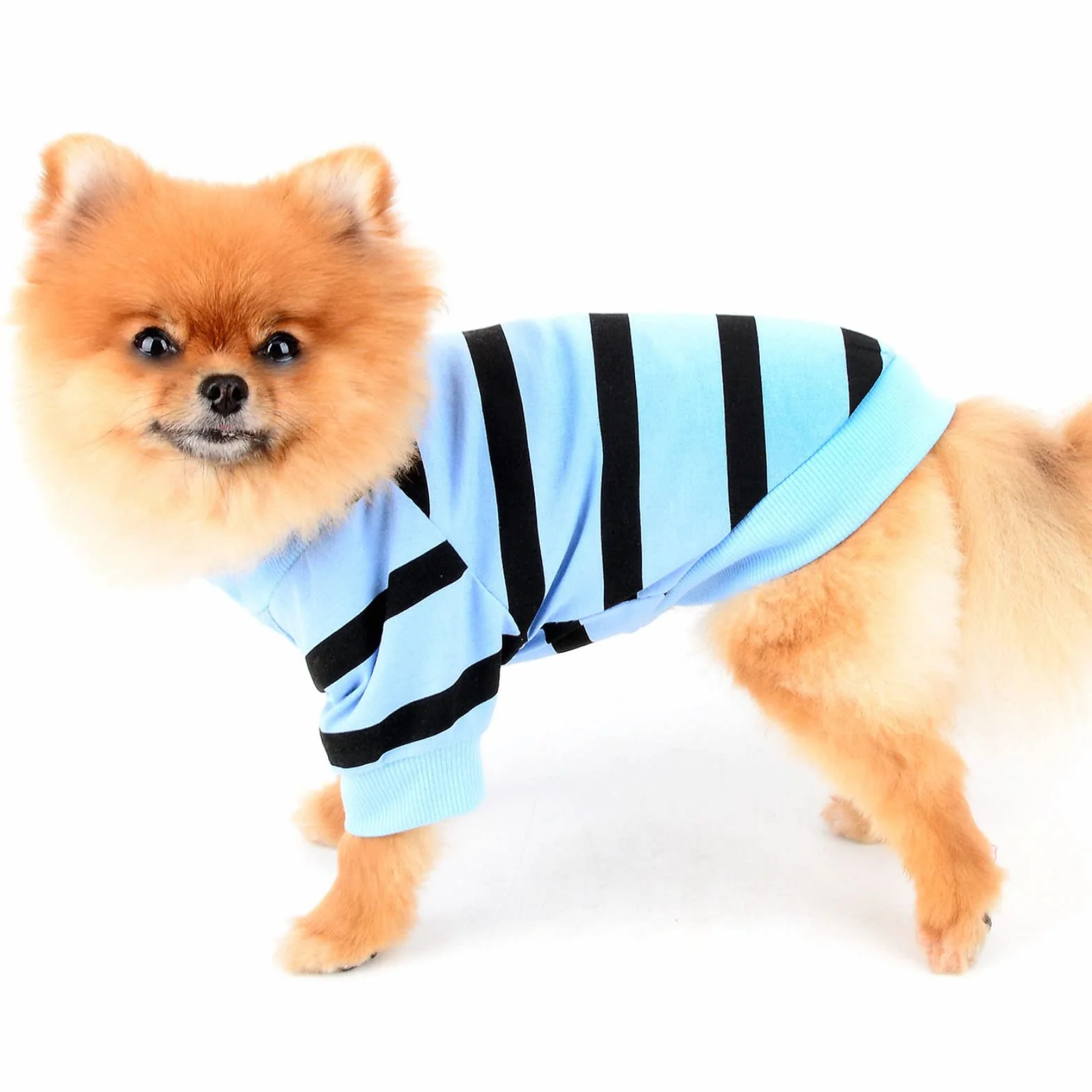 Chemises à Rayures pour Chiens de Petite Taille Gilet avec Cœur Rouge t-Shirts Animal de Compagnie Bleu M