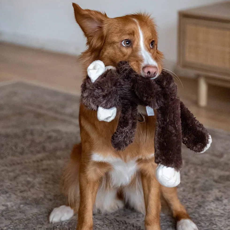 Nobby Jouet Singe Safari Peluche pour Chien Brun 41 cm