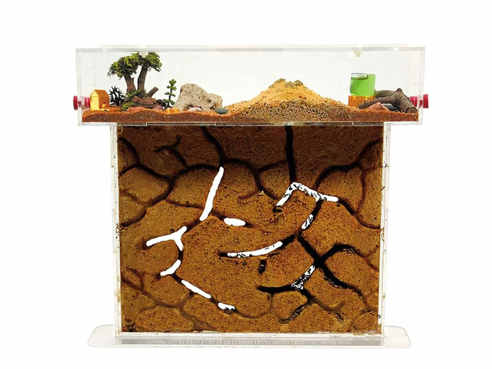 Kit Fourmilière Naturelle Sable Acrylique 25x20x1,6cm Fourmis Incluses