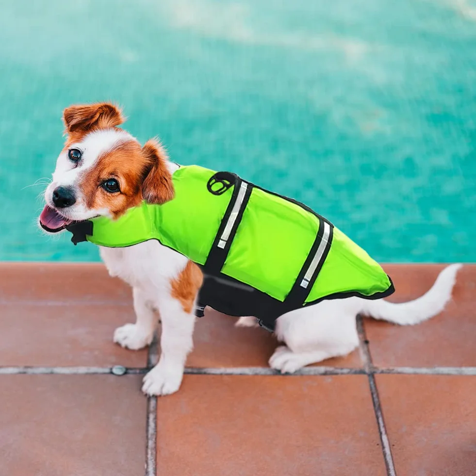 Gilet de Sauvetage Chien FainFun avec Bandes Réfléchissantes et Ceinture Réglable Vert XL