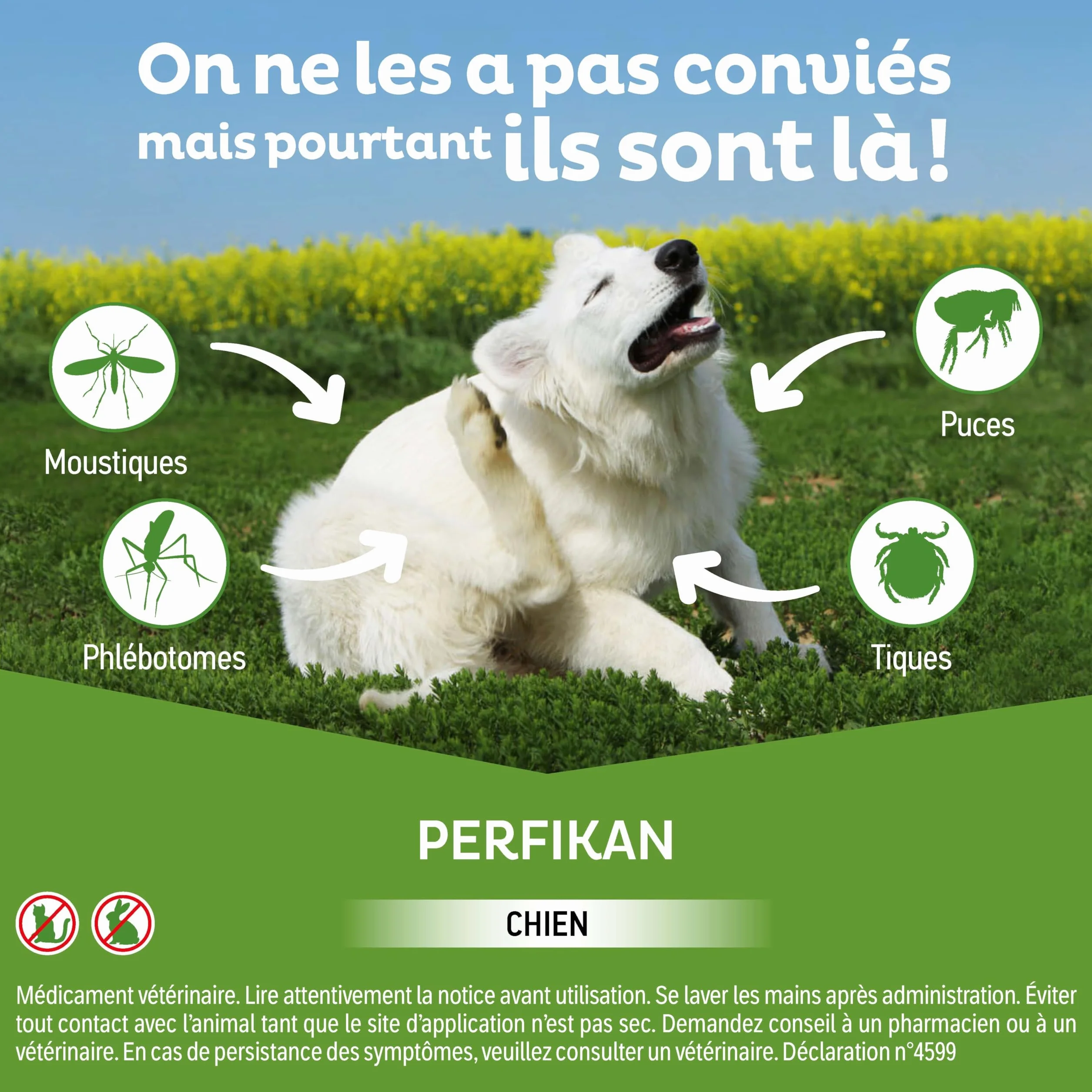 Clément Thékan Perfikan Grands Chiens (20–40 kg) 268 mg/2400 MG Anti-Puces Spot on 4 pipettes