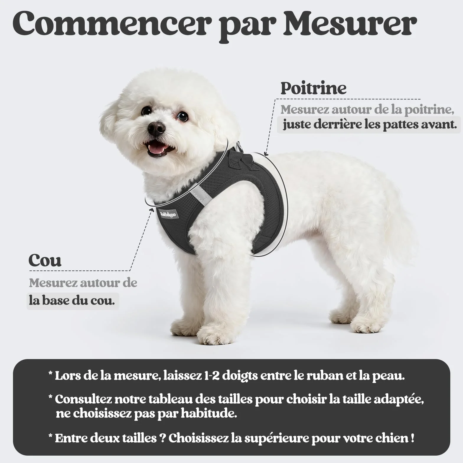 Rabbitgoo Harnais Chien Petite Taille avec Laisse Réfléchissant, Maille Souple, Gilet Réglable Facile à Mettre, pour Petit et Moyen, Noir S