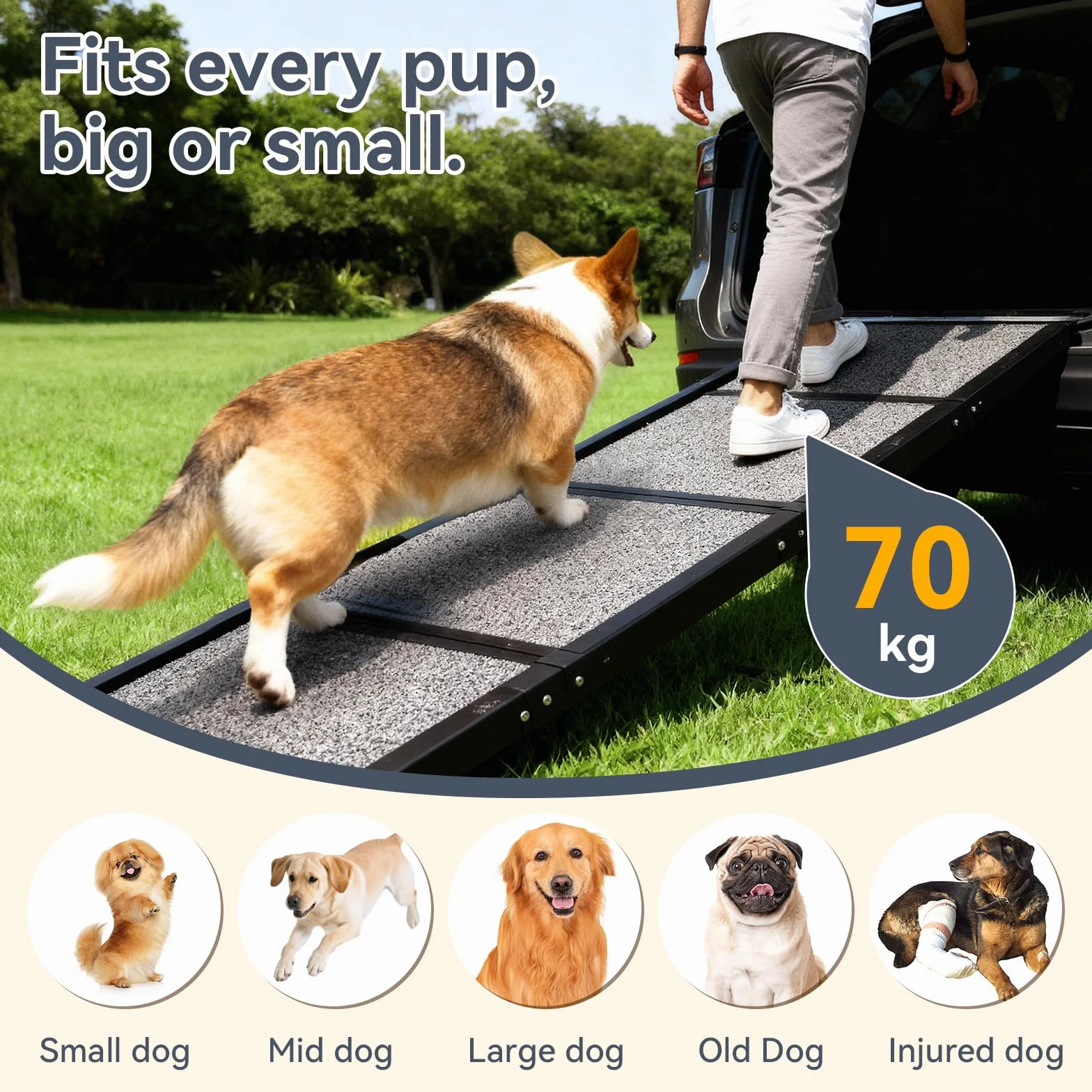 Rampe pour Chien Voiture 170×44 cm Pliable Capacité 70KG Antidérapante Escalier d'Accès