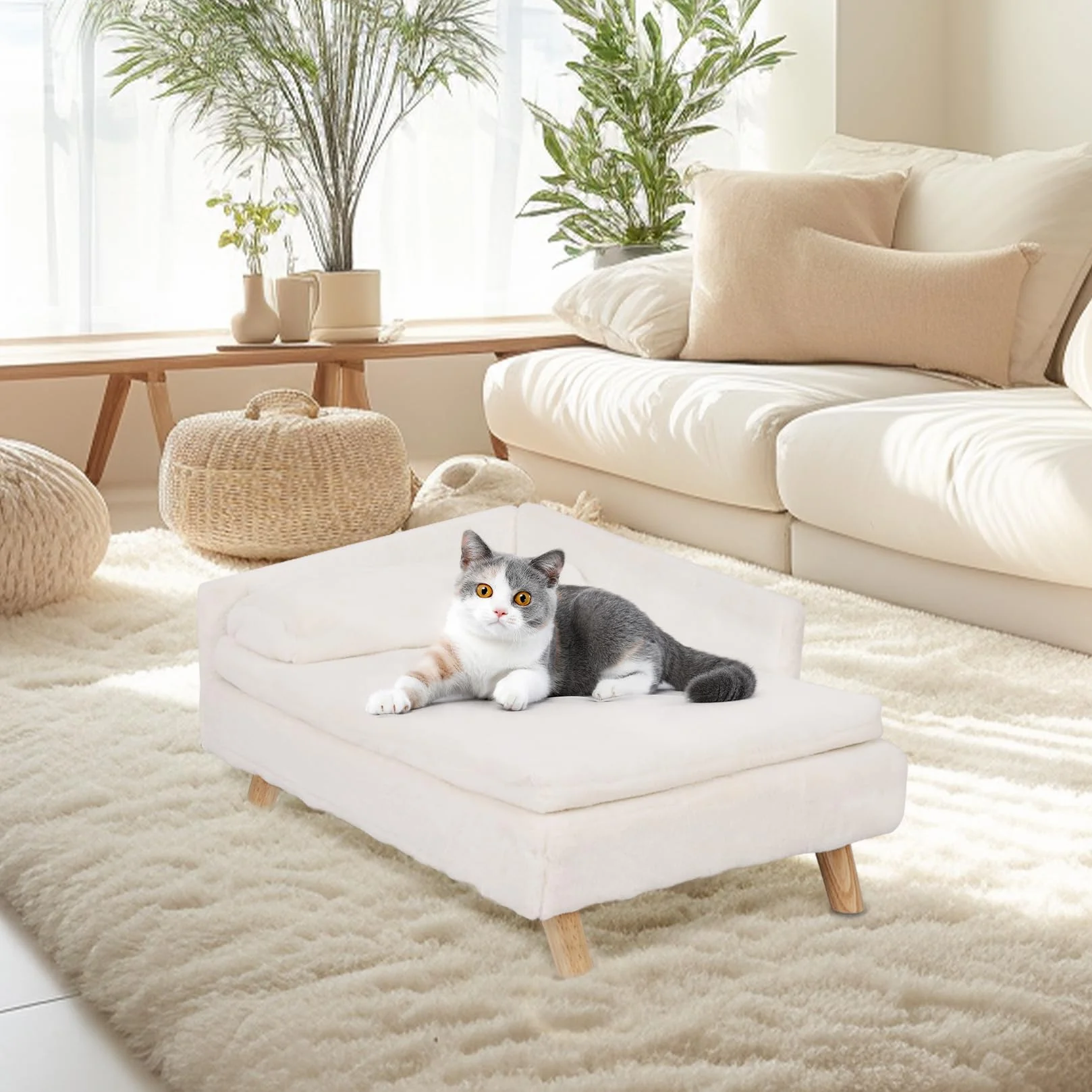 BingoPaw Canapé pour Chien Petite Taille, Lit Surélevé avec Coussin Lavable, 70.5x38x23.5cm