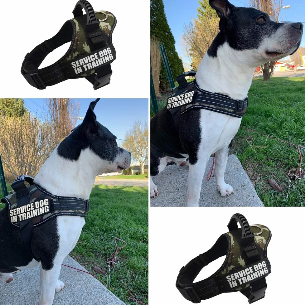 Ceinture de sécurité en nylon réfléchissant pour chien XS-XXL pour petit chien Chihuahua Husky Bouledogue Chat Ceinture de sécurité Corde de traction Fournitures pour chien Évier