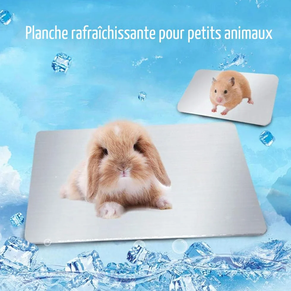 Tapis de Refroidissement pour Lapin, PeSandy Coussin de refroidissement pour Lapins, Cochon d'Inde, Chinchilla, Hamster et Autres Petits Animaux Restent au Rrais Cet Été - Assiette Cool Lapin(30x20cm)