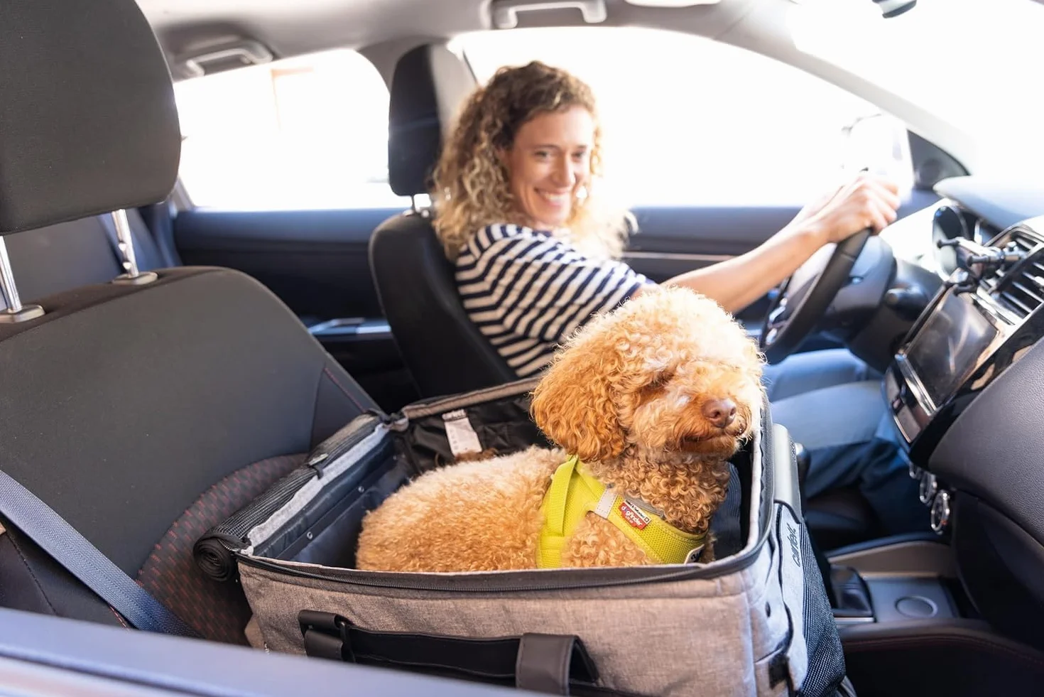 Carlett Chariot pour Animaux 3 en 1, Roues Pivotantes 360°, Résistant à l'Eau, Transporteur Compatible Siège Auto