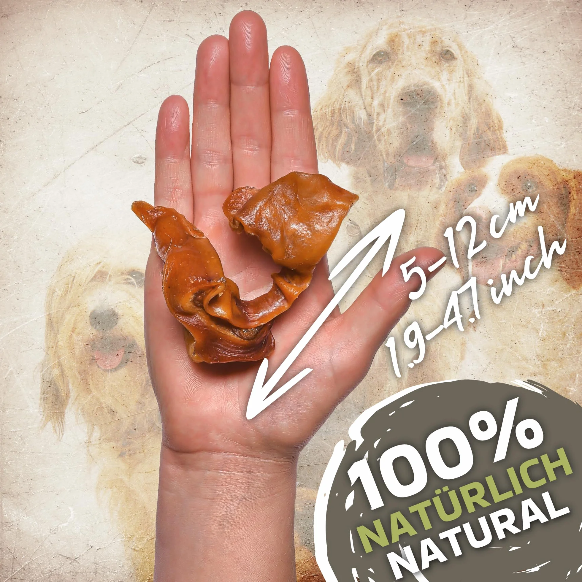 Strips d’Oreilles de Porc pour Chiens 1kg (Environ 55–65 pièces) | Friandises Naturelles à mâcher | sans céréales ni additifs | Séchées à l’air | Riche en protéines