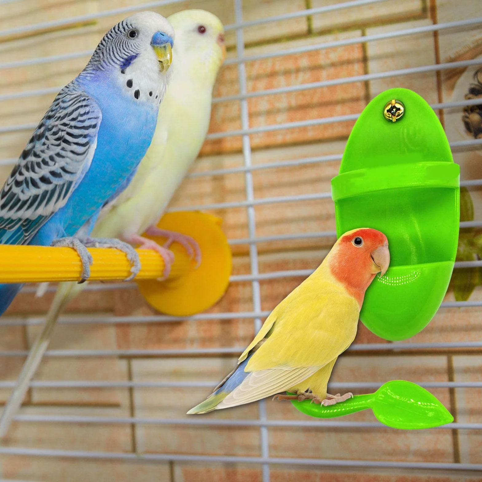 Porte-os de seiche pour Cage à Oiseaux - Support à Os de seiche pour Perroquets, Calopsittes, Perruche