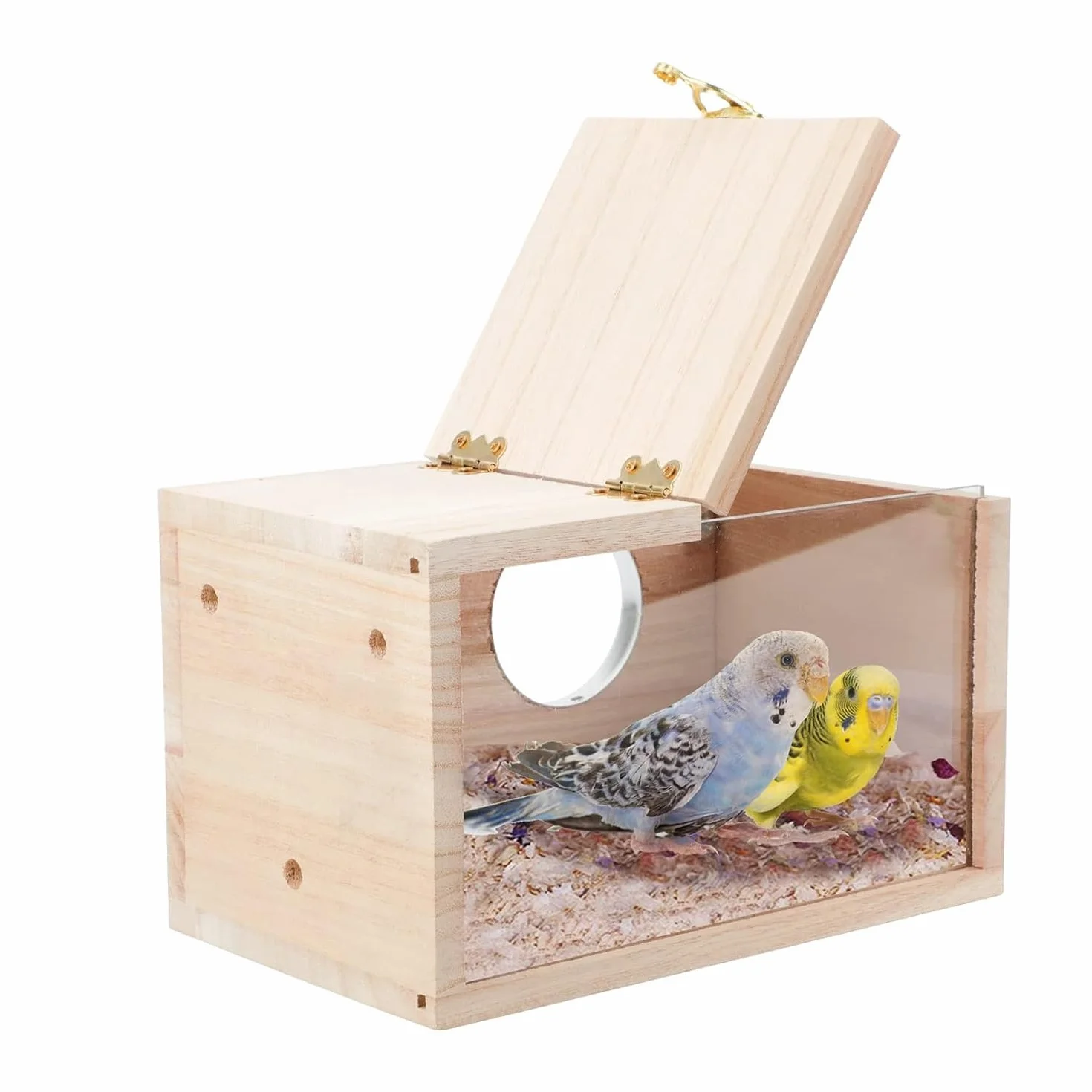 Loufy Nichoir en bois transparent pour perroquet, perruche, calopsitte, inséparable, 1 pièce