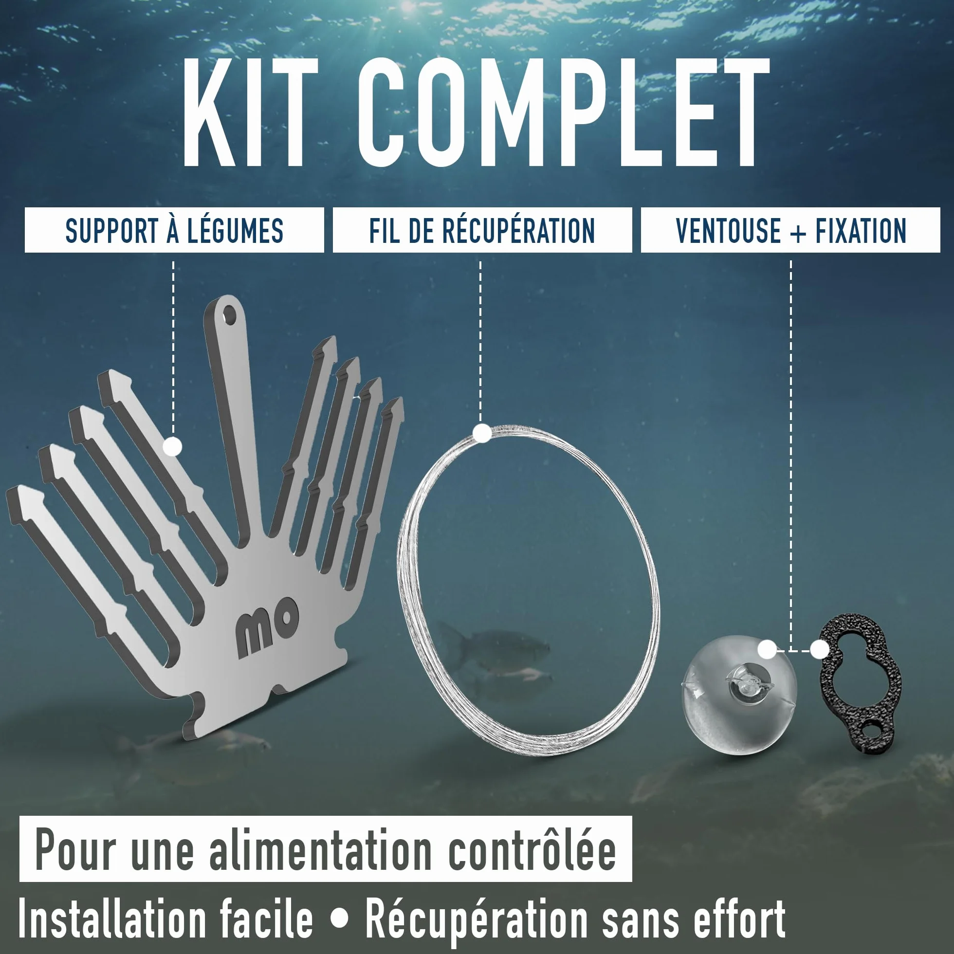 Support Concombre Aquarium INOX – Porte Légumes pour Pleco & Poissons de Fond – Ventouse Stable