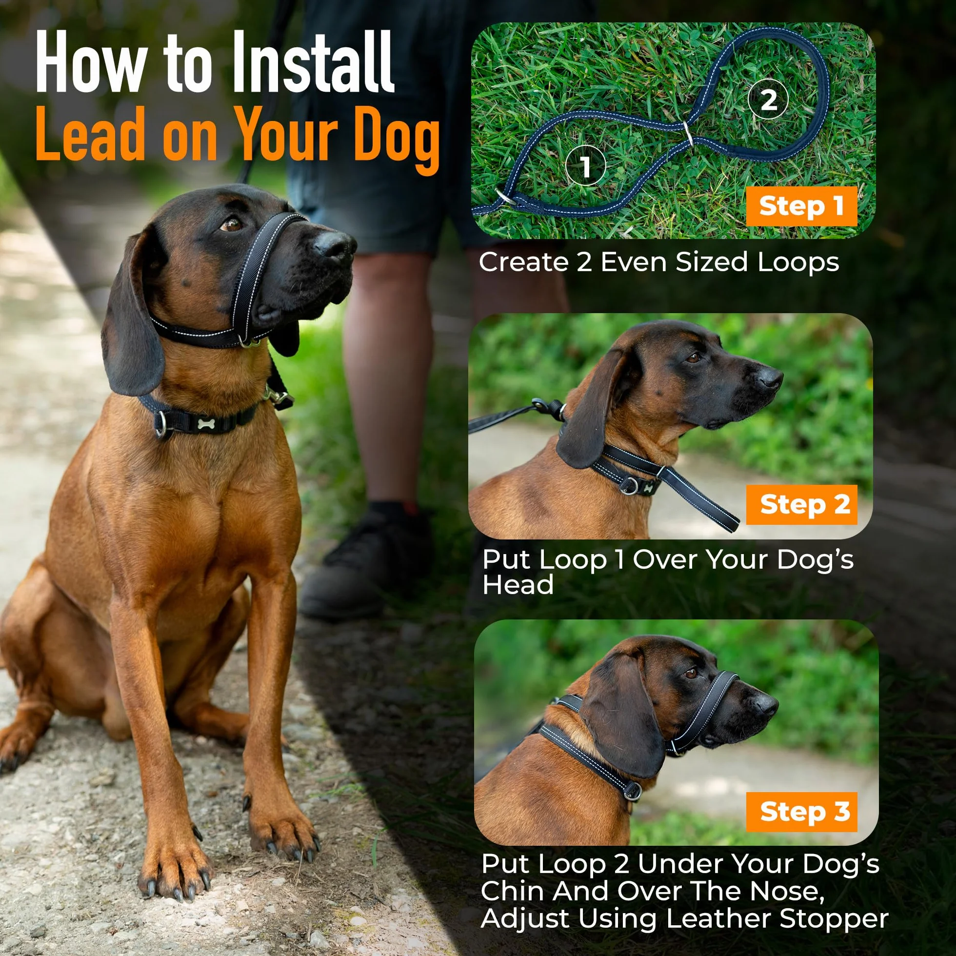 Laisses anti-traction réfléchissantes pour chien - Lot de 8 avec support de nez rembourré 210 cm