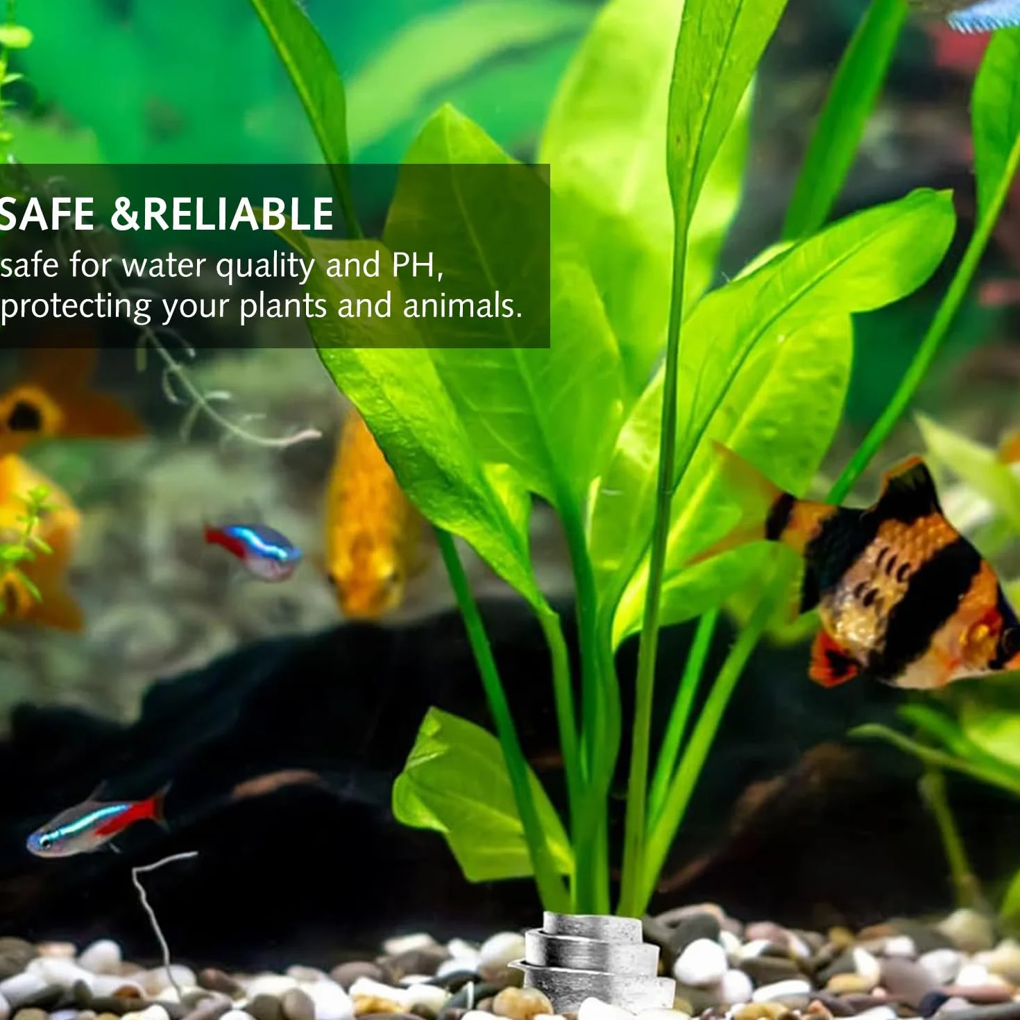 Luxiremi 20 poids d'ancrage pour plantes d'aquarium anti-flottement pliables renforcés