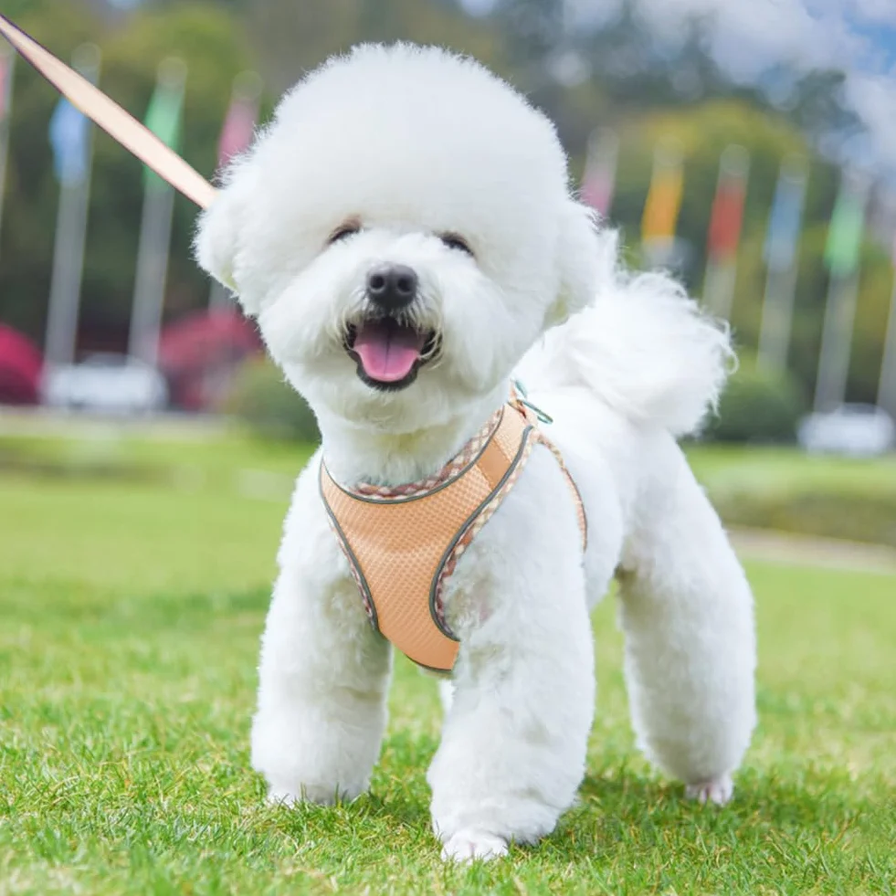 Harnais pour Chien Petite et Moyenne Taille, Harnais et Laisse pour Chiot, Maille Réfléchissante Respirable, Gilet Rembourré
