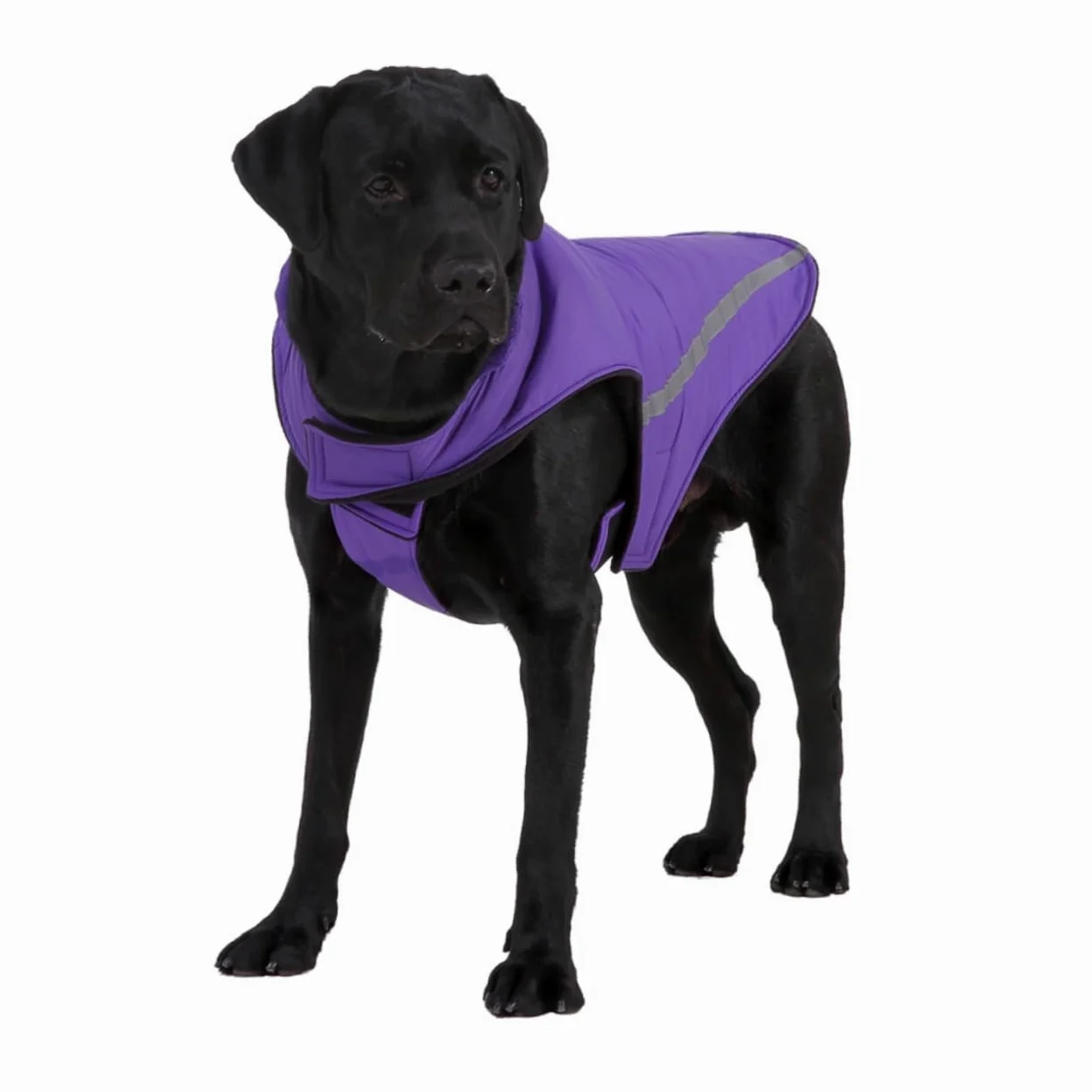 Manteaux de Pluie imperméables pour Chien, imperméable pour Chien, 2 pièces, Harnais d'hiver pour Chien, Gilet pour Animal de Compagnie, Gilet pour Chien Haute