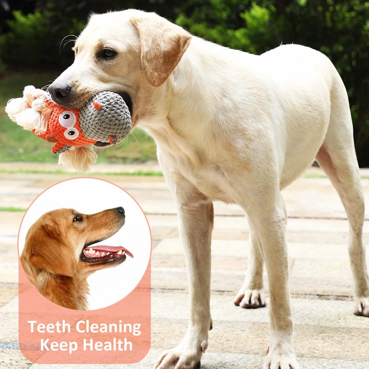 Jouets pour Chiens Interactifs Couineurs Robustes avec Chiffon en Coton et Papier Froissé Orangée Bovins